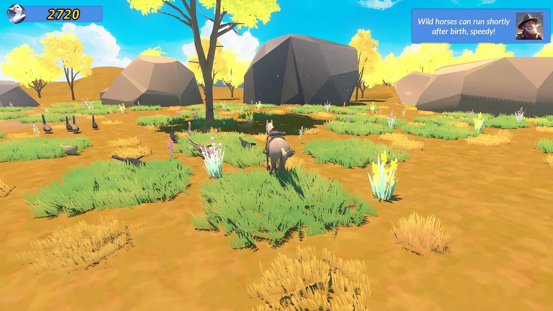 اسکرین‌شات Meadow Gallop - 4