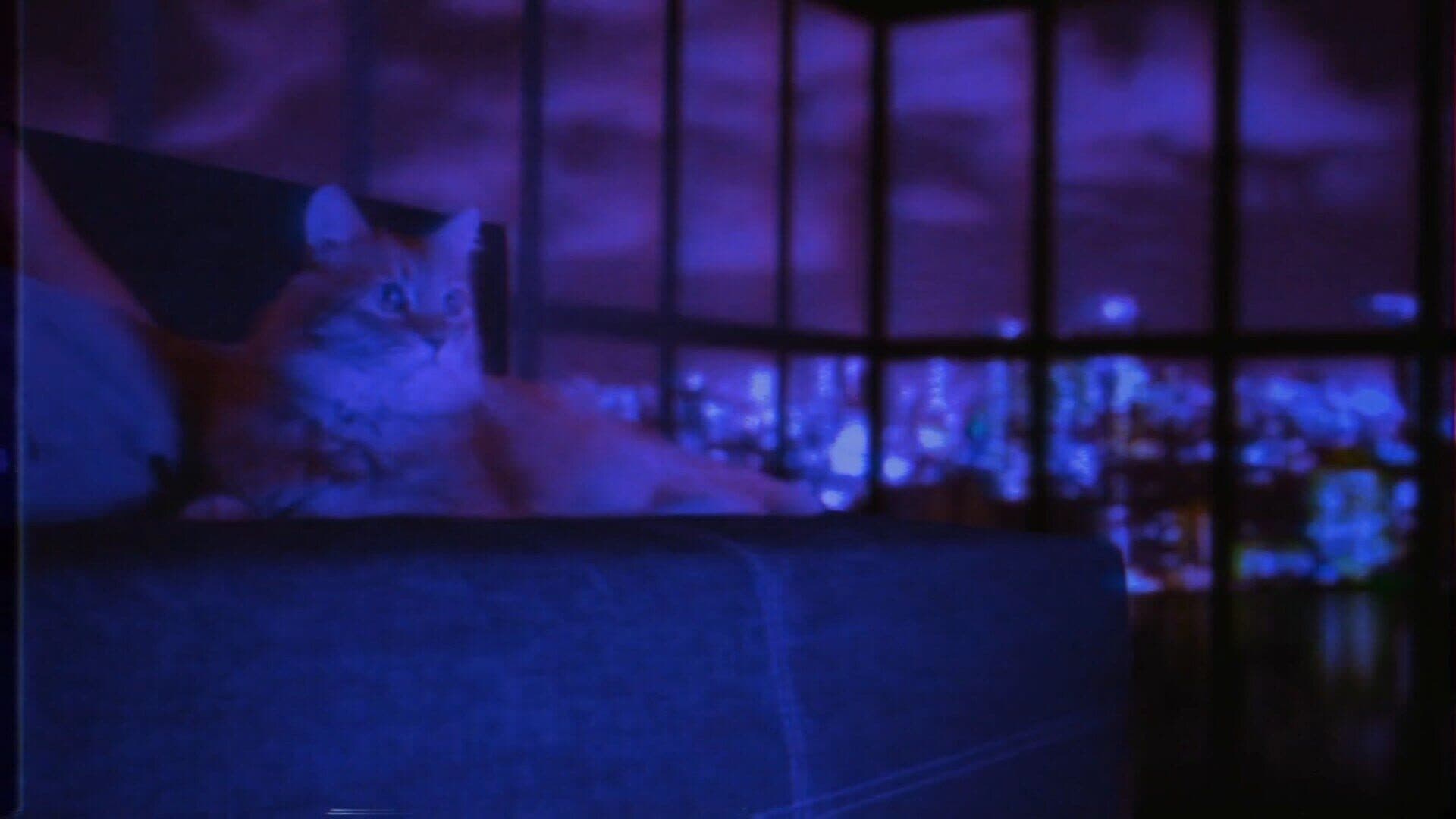 Puss! screenshot 9