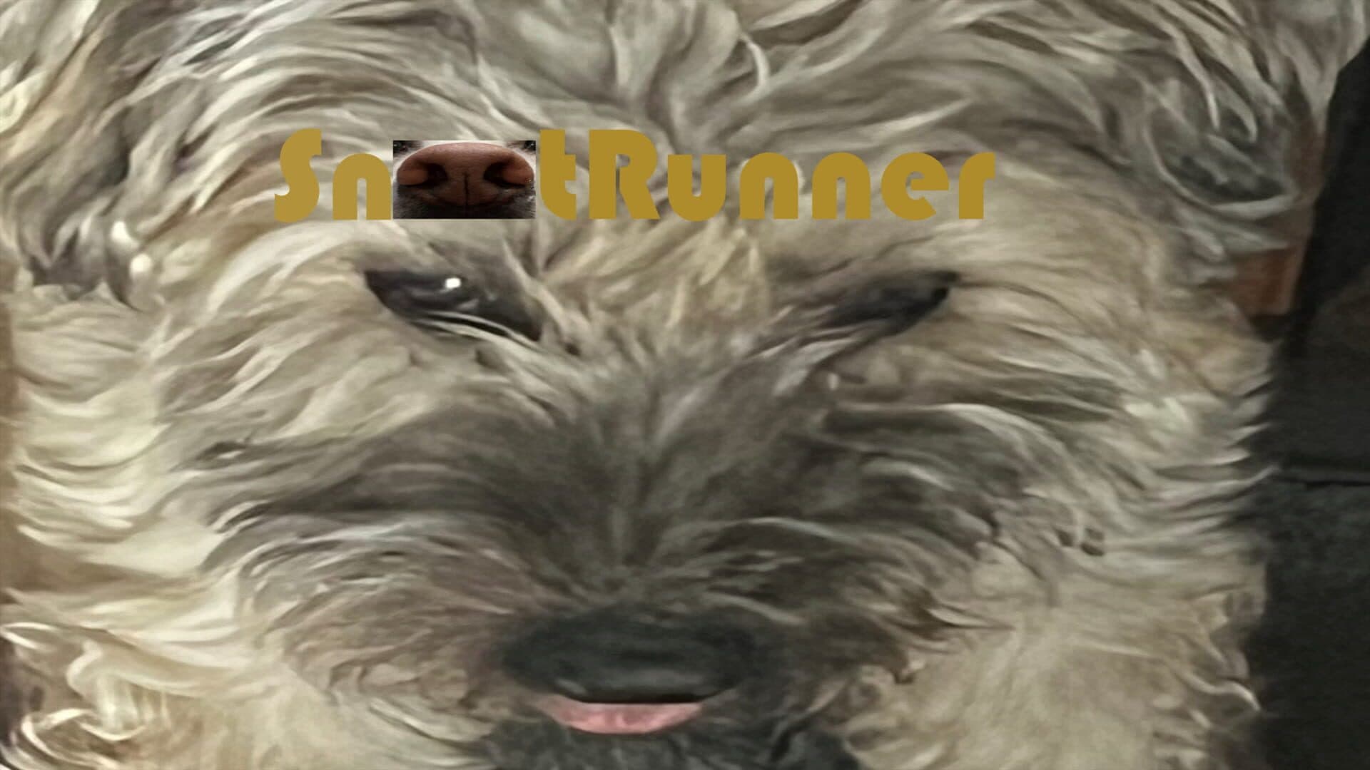 Snoot Runner