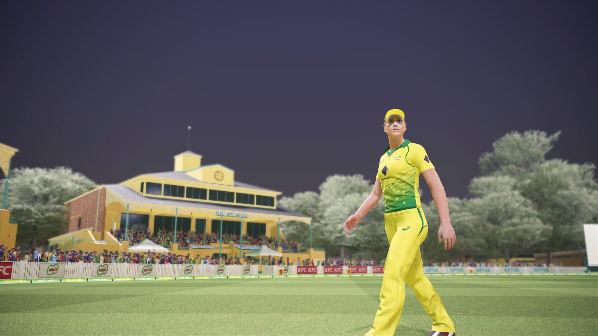 Ashes Cricket screenshot 0