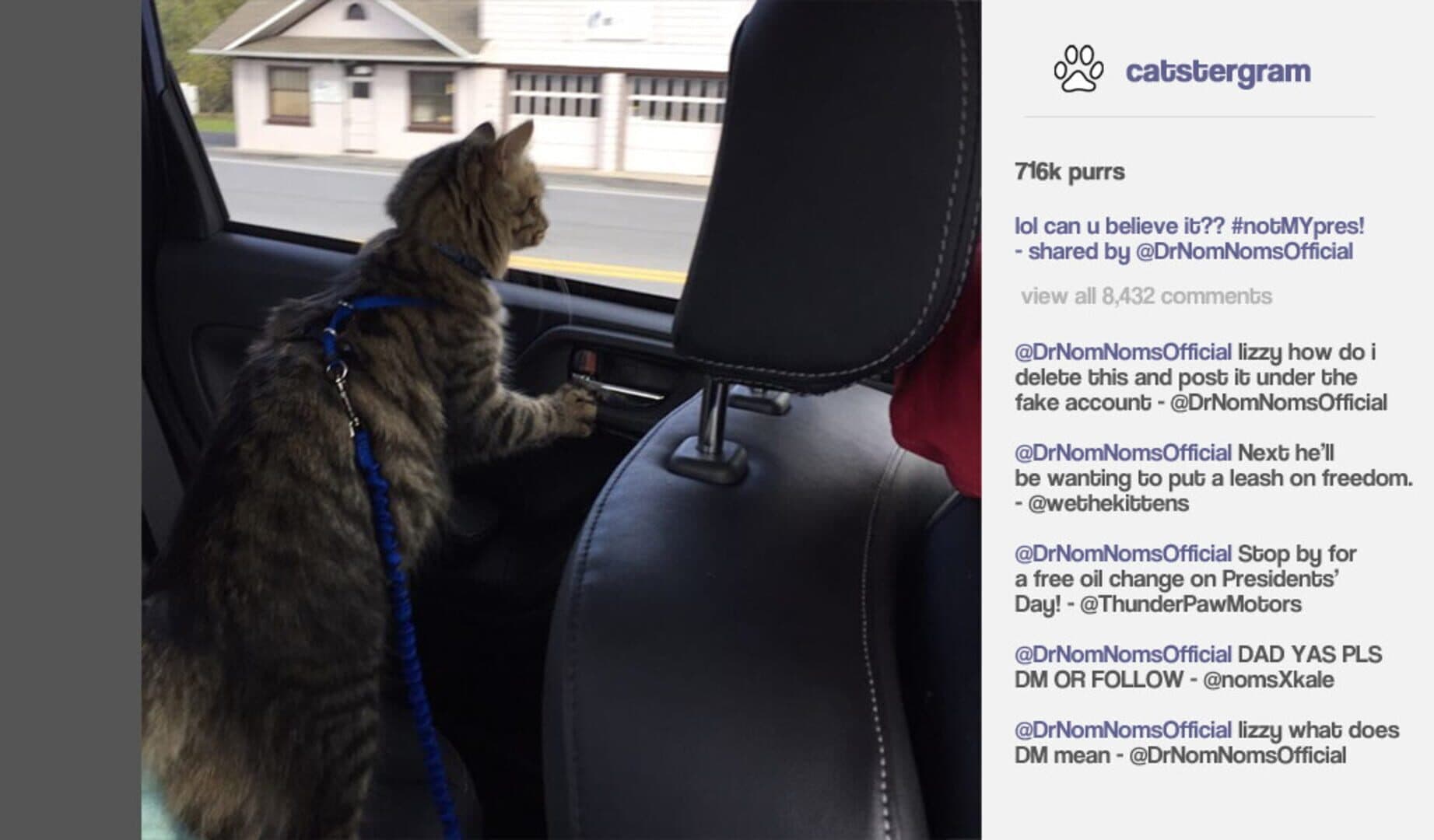 اسکرین‌شات Cat President: A More Purrfect Union - 1