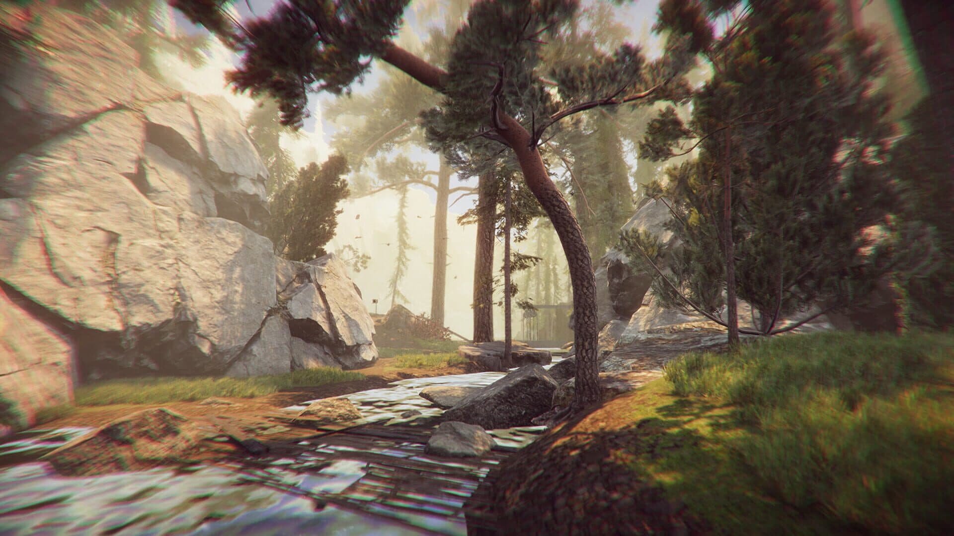 The Forest Cathedral screenshot 1