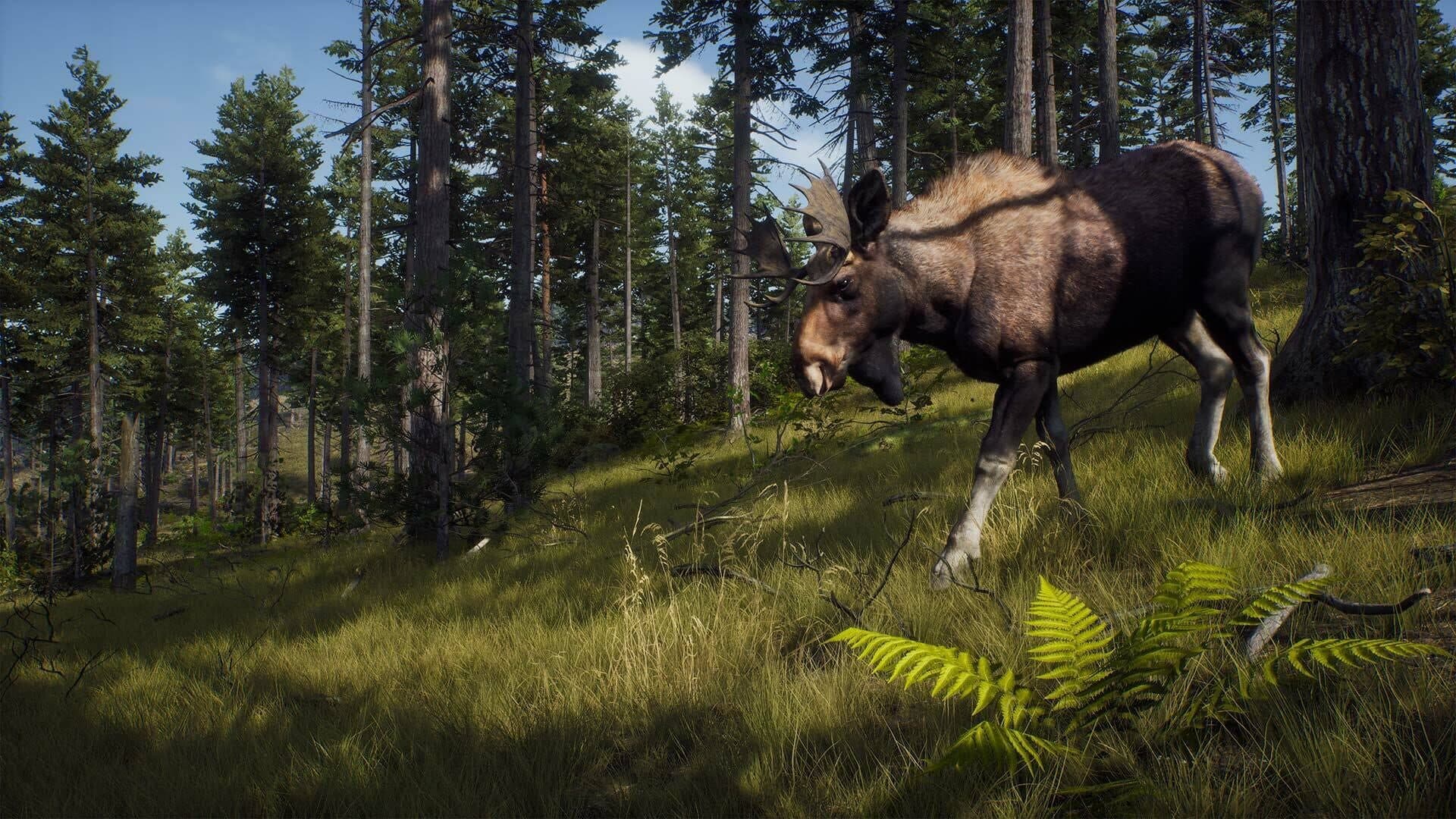 Way of the Hunter screenshot 0
