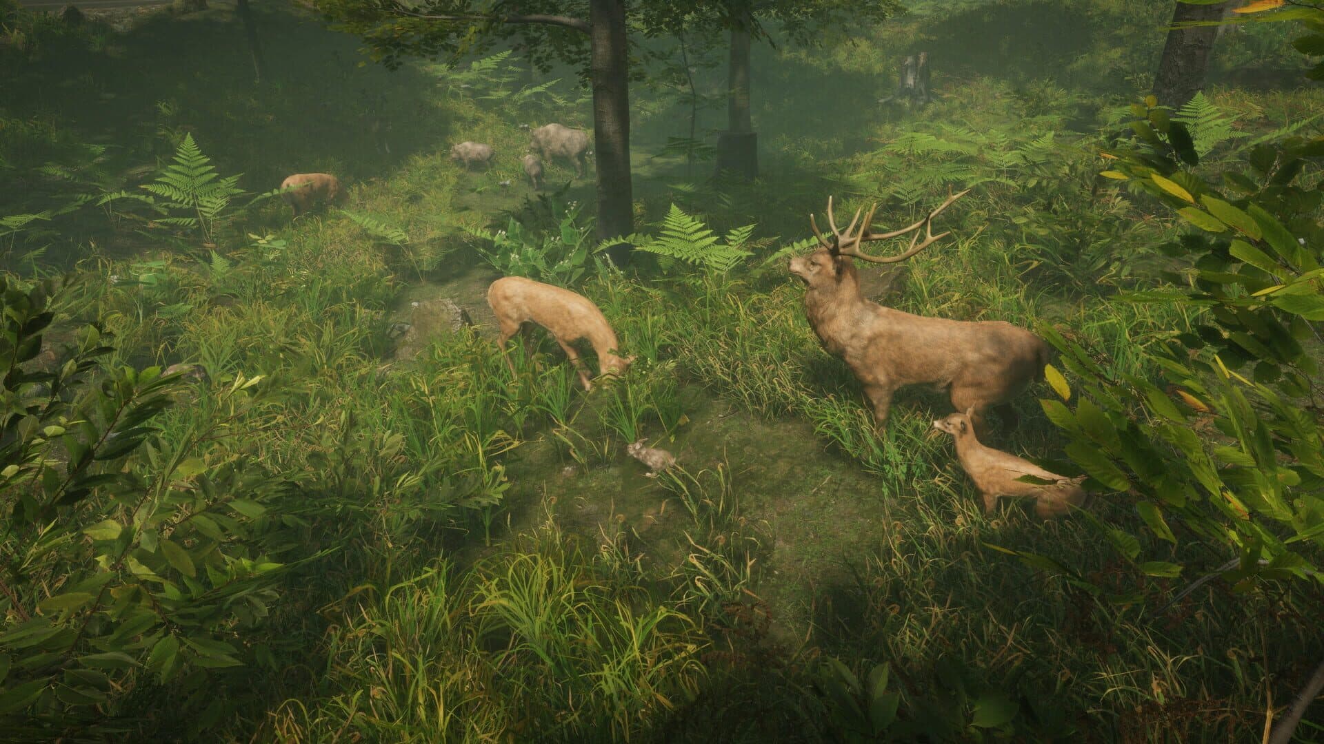 Natural Instincts screenshot 3