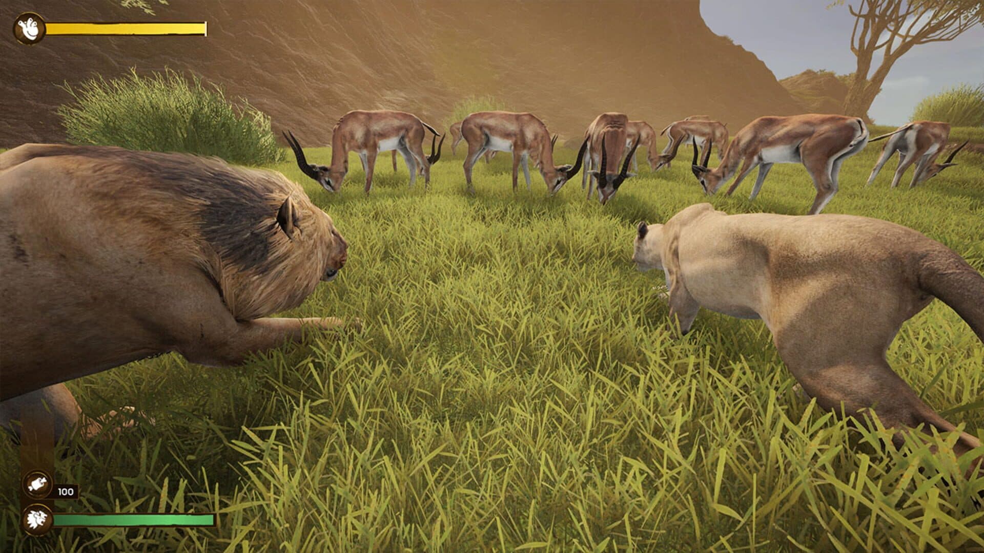 اسکرین‌شات Lion Simulator RPG: Animal Battle Survive - 2
