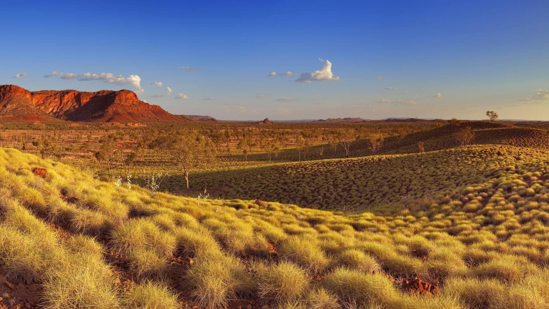 Puzzle Vacations: Australia and New Zealand