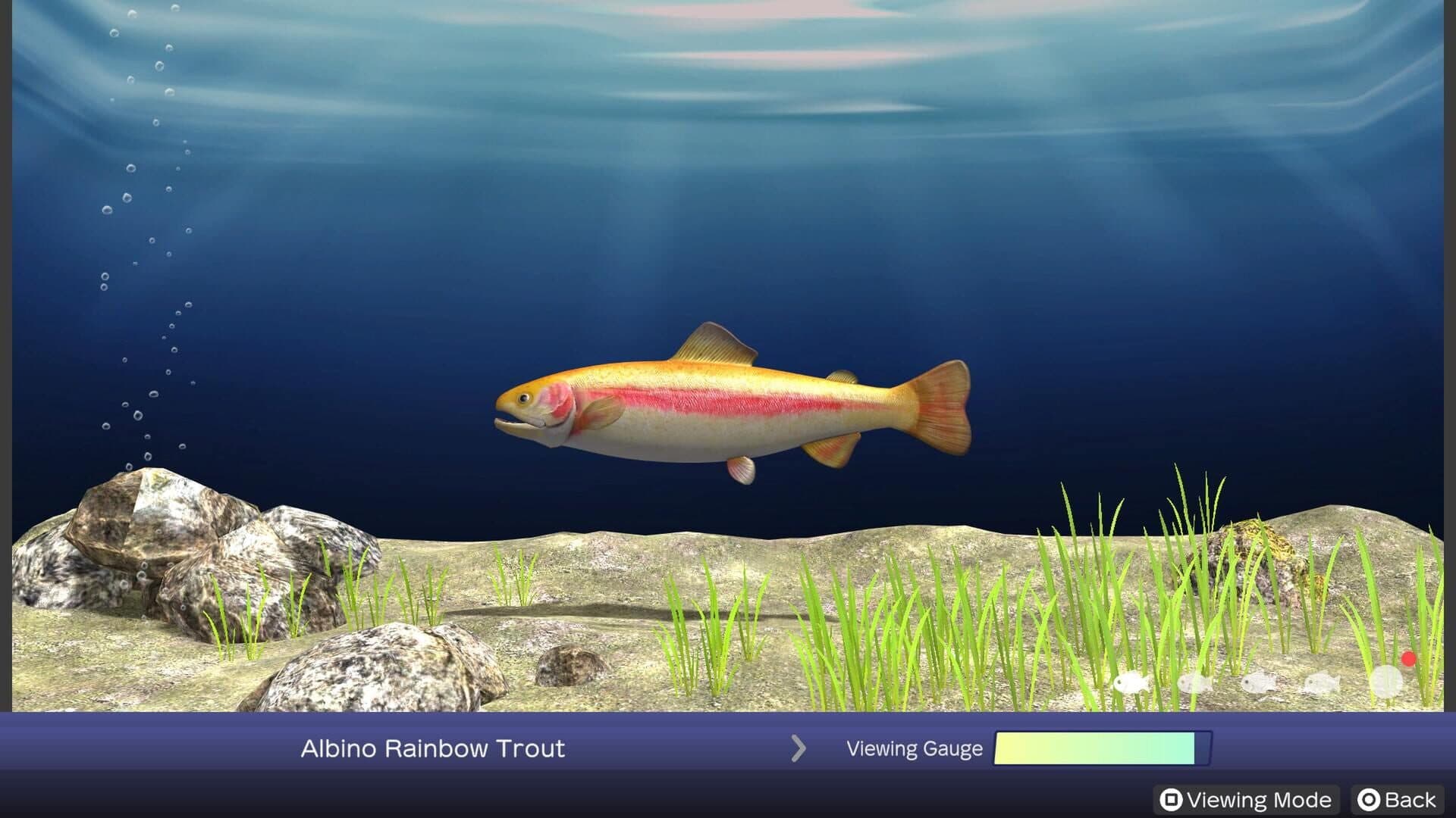 اسکرین‌شات Reel Fishing: Days of Summer - 6