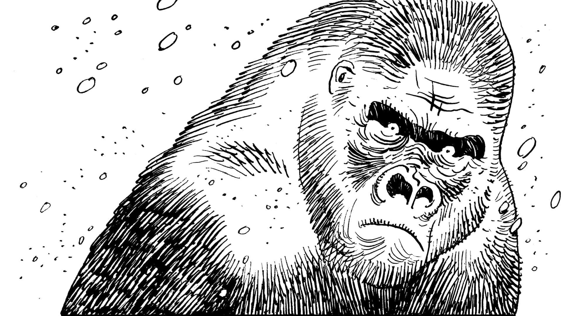 اسکرین‌شات Bigfoot's Journey - 1