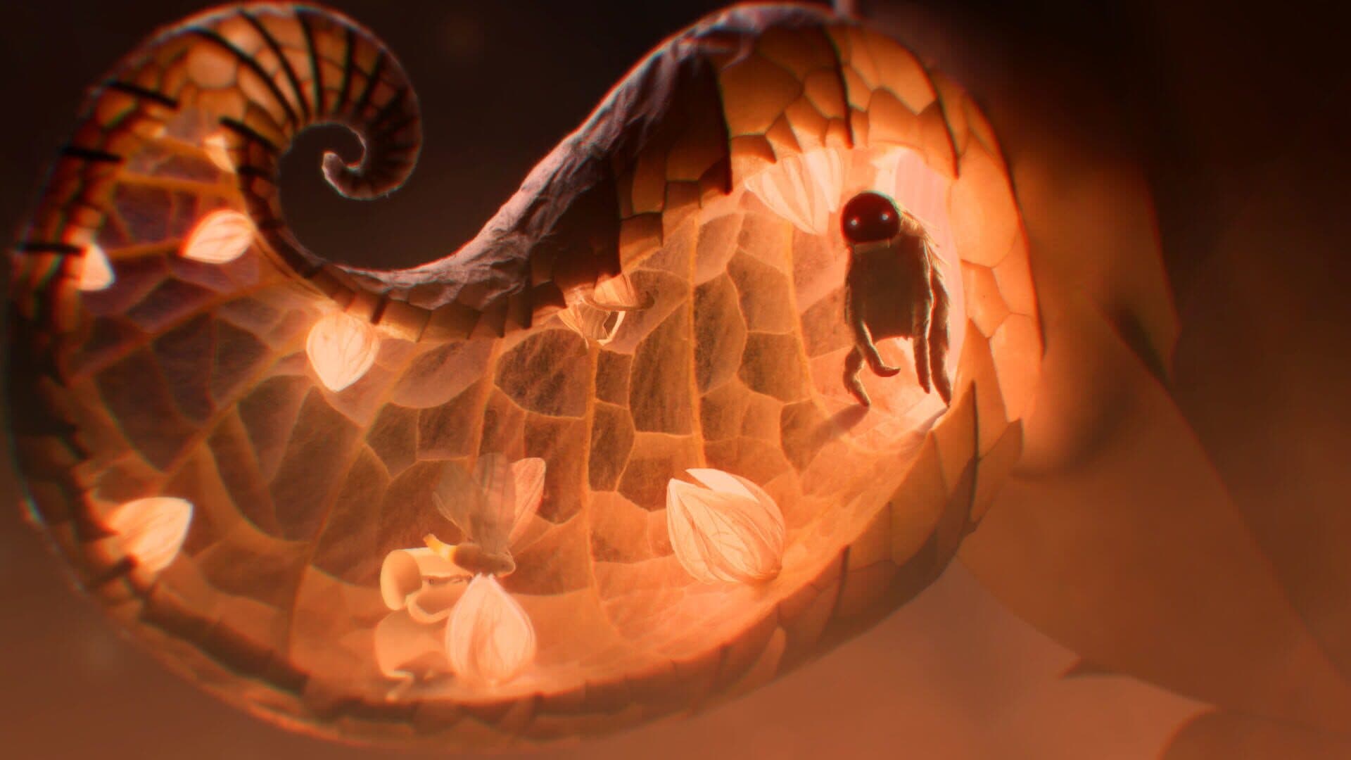 Papetura screenshot 0