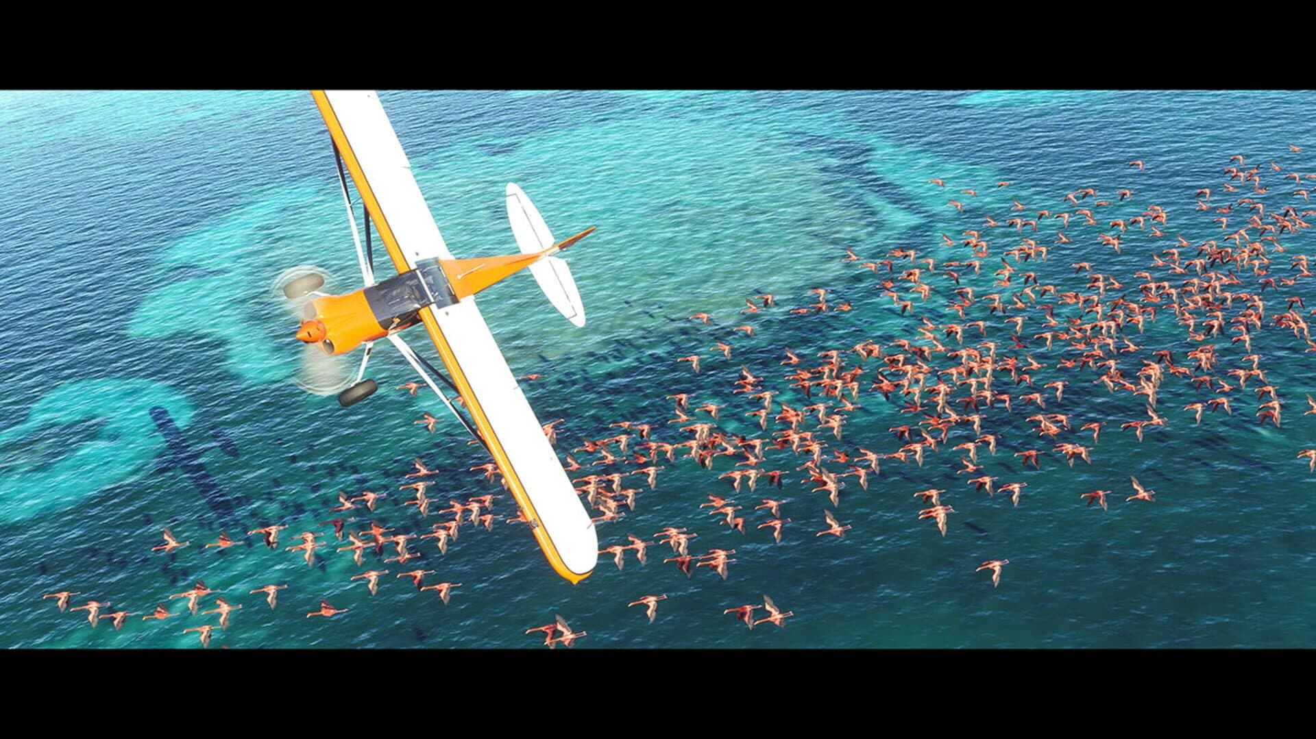 Microsoft Flight Simulator screenshot 2