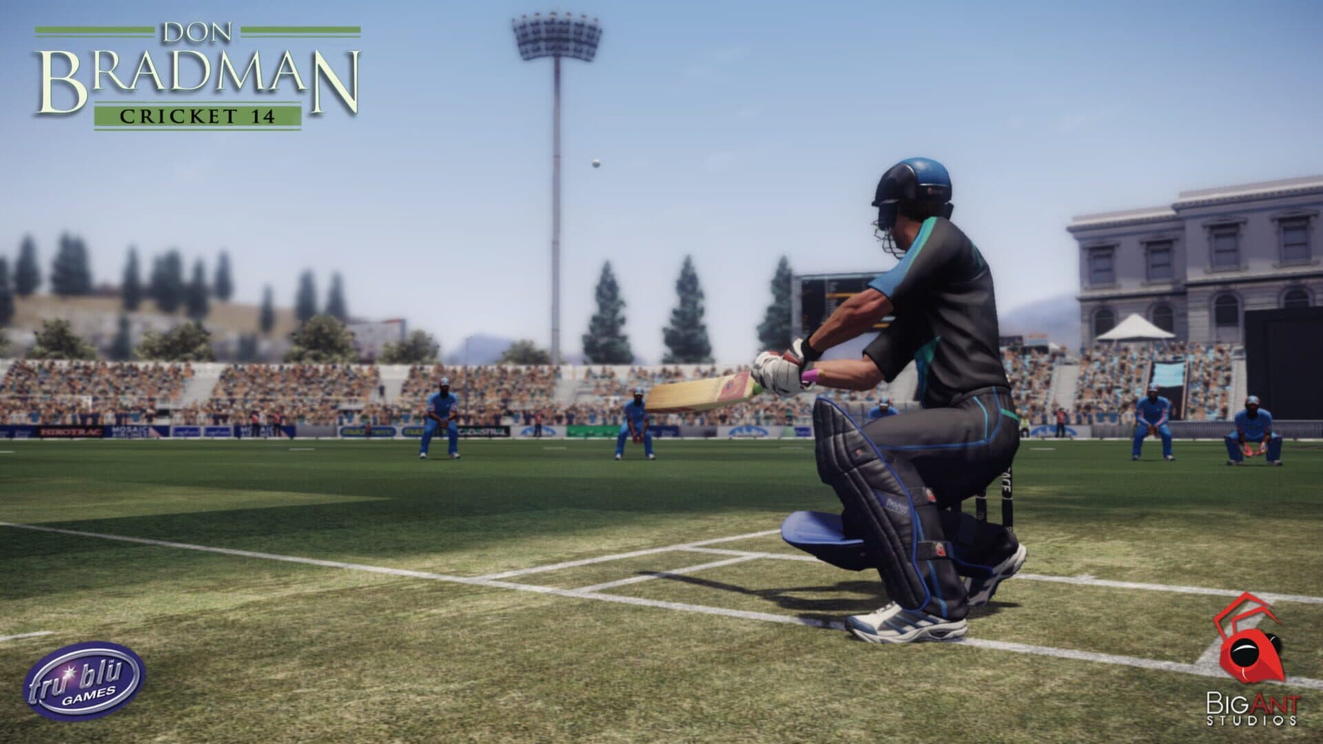 Don Bradman Cricket 14 screenshot 0