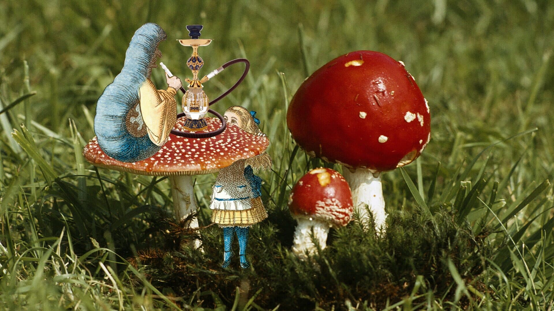 اسکرین‌شات Lewis Carroll's Alice - 2