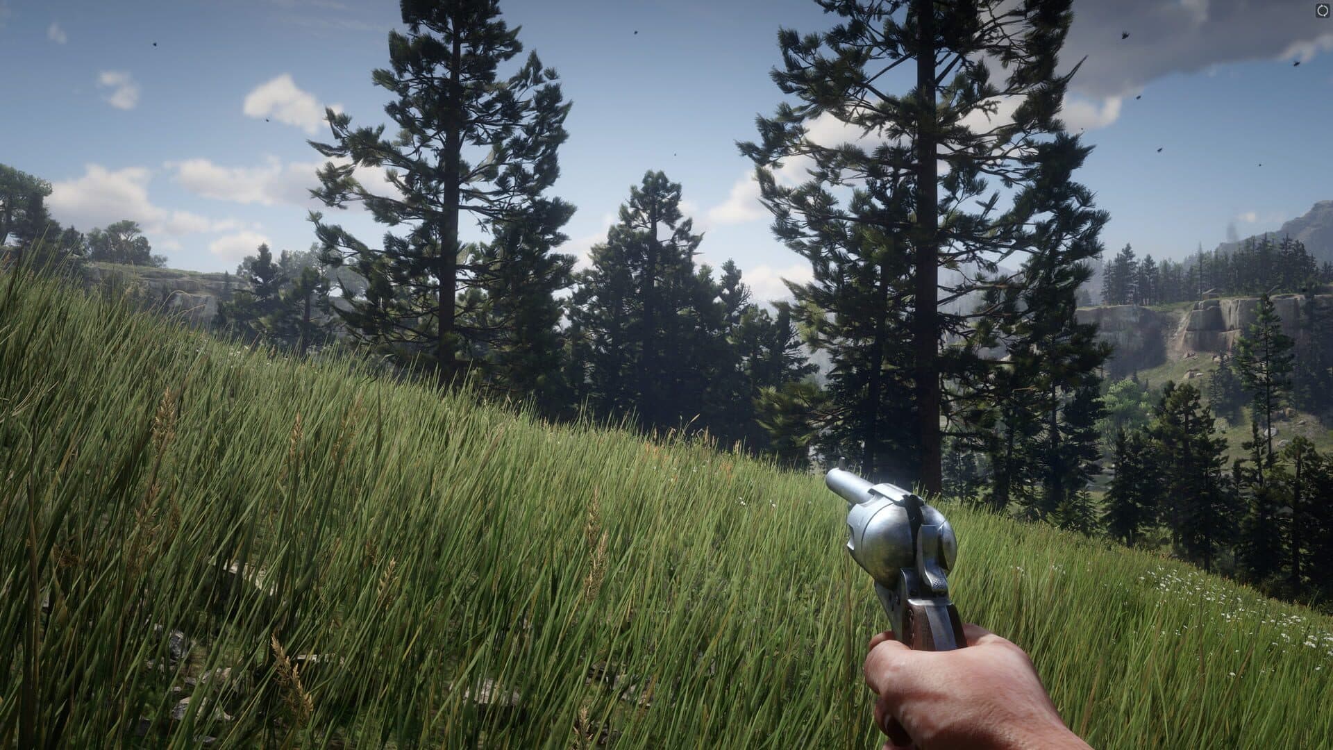 Red Dead Redemption 2 screenshot 7