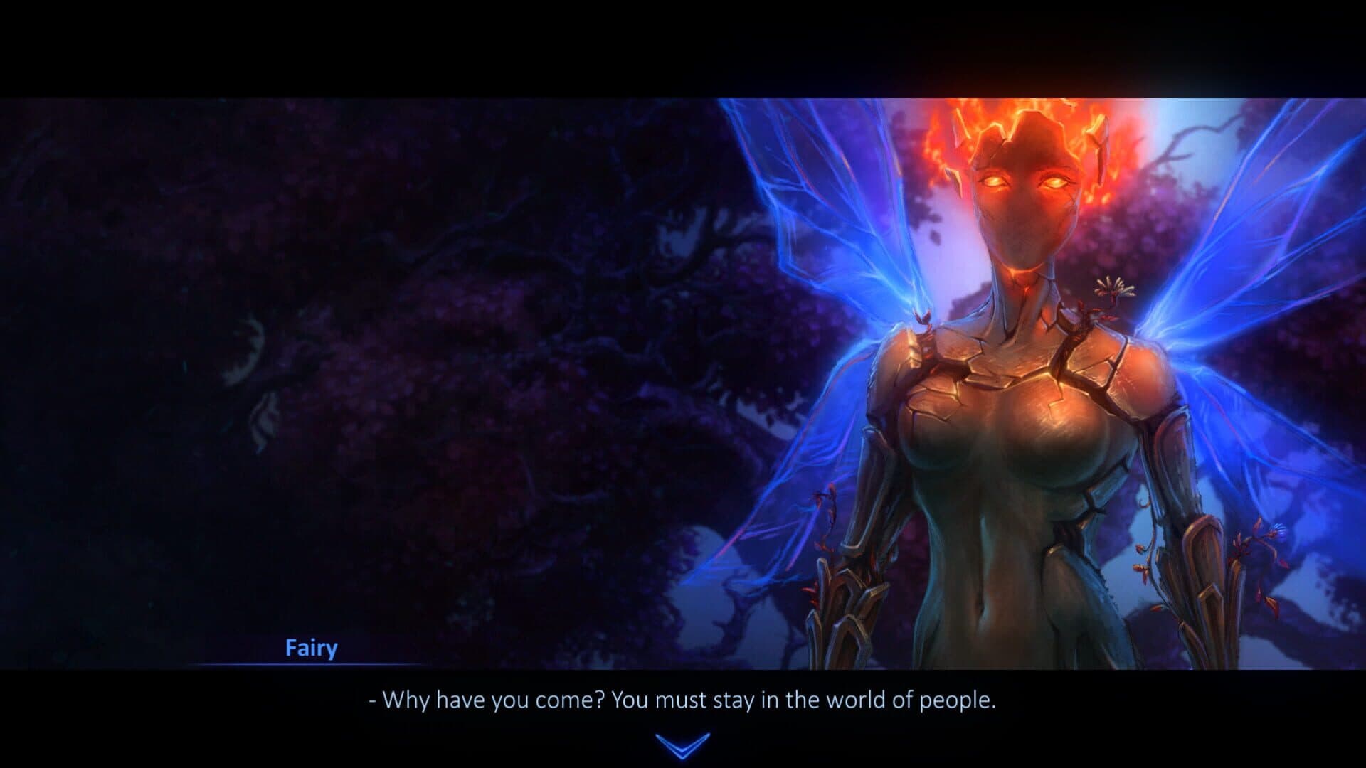 Ved screenshot 2