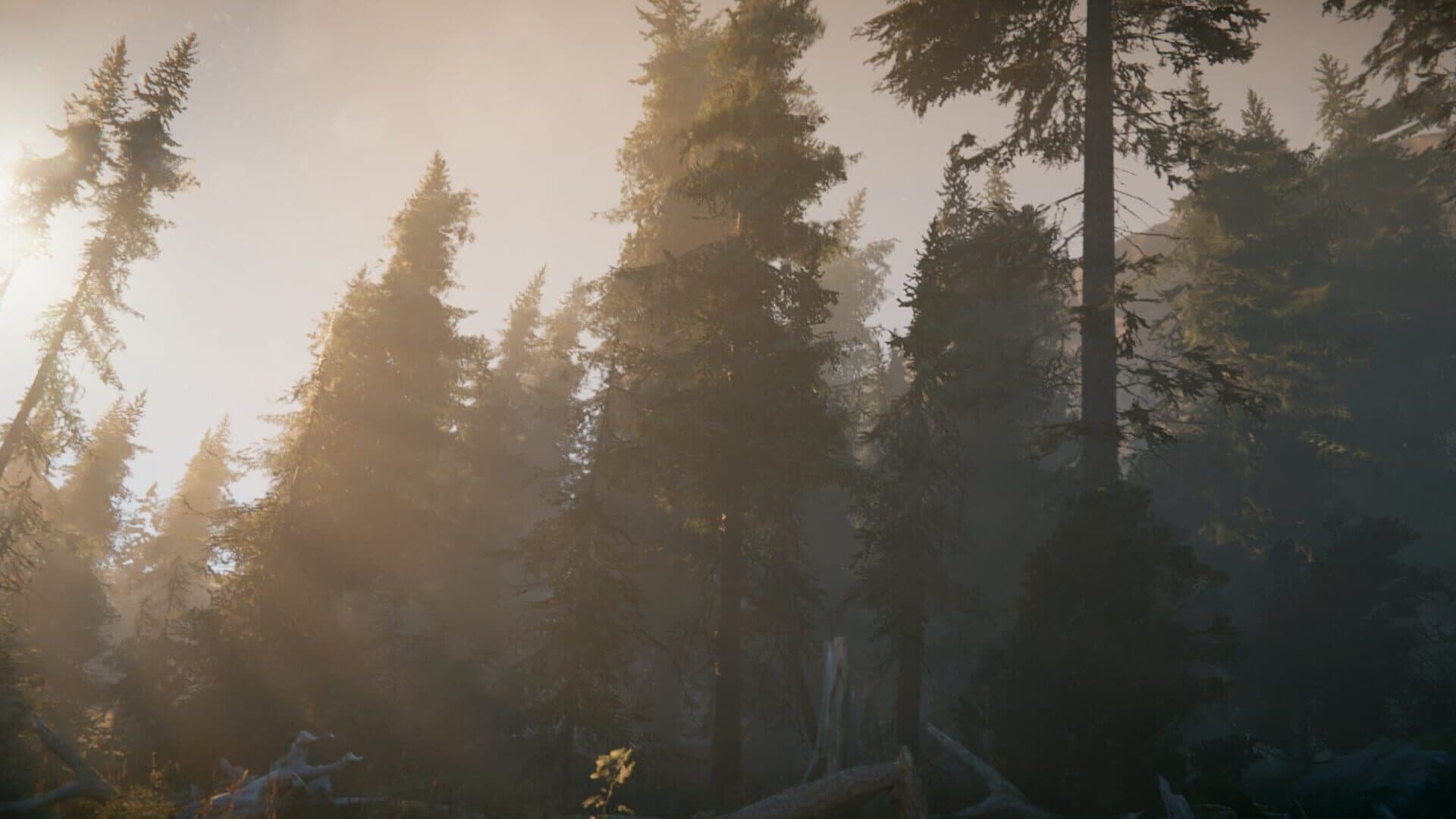 Anthology of Fear screenshot 1
