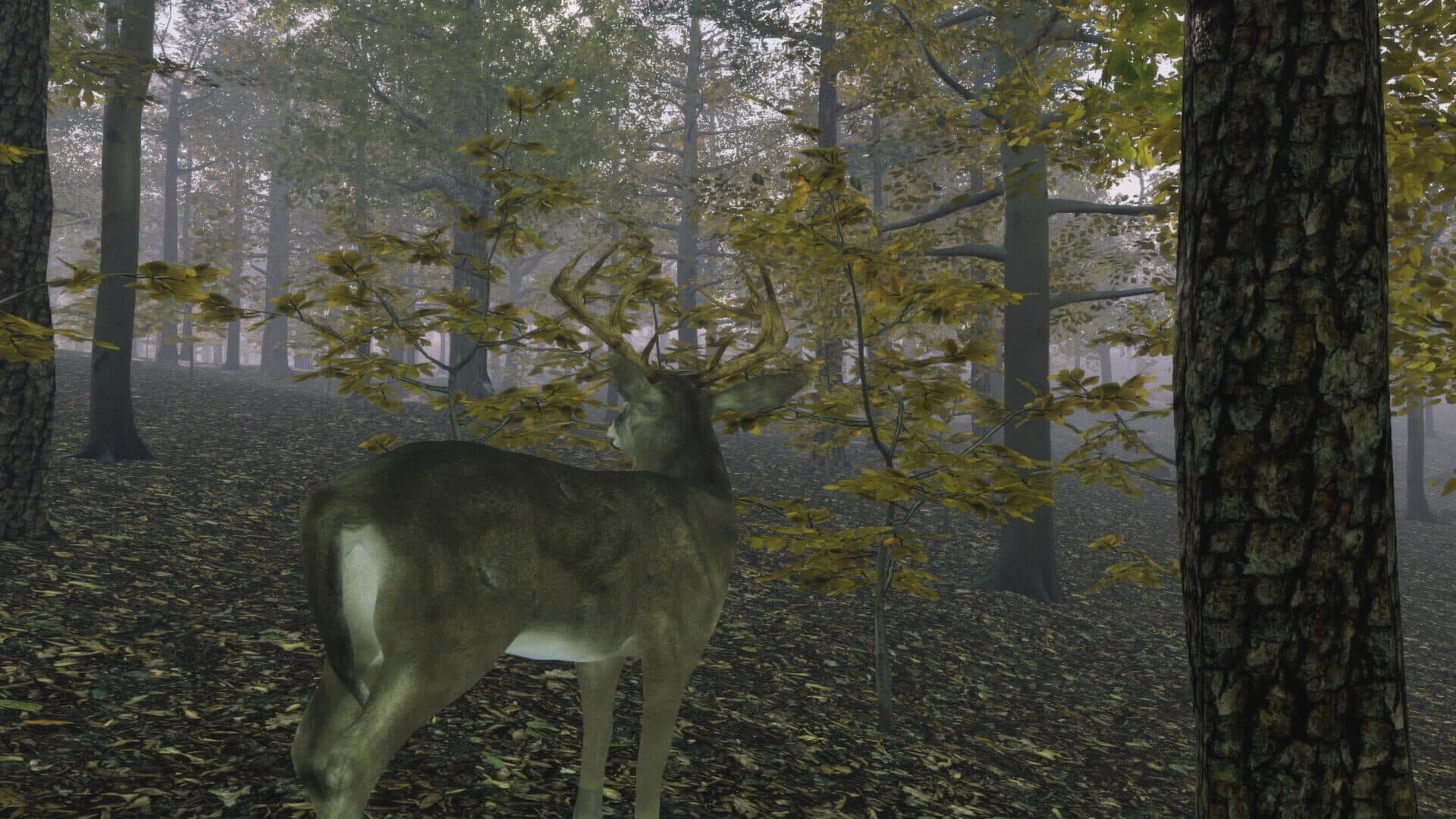 اسکرین‌شات Pro Deer Hunting: Out West - 7