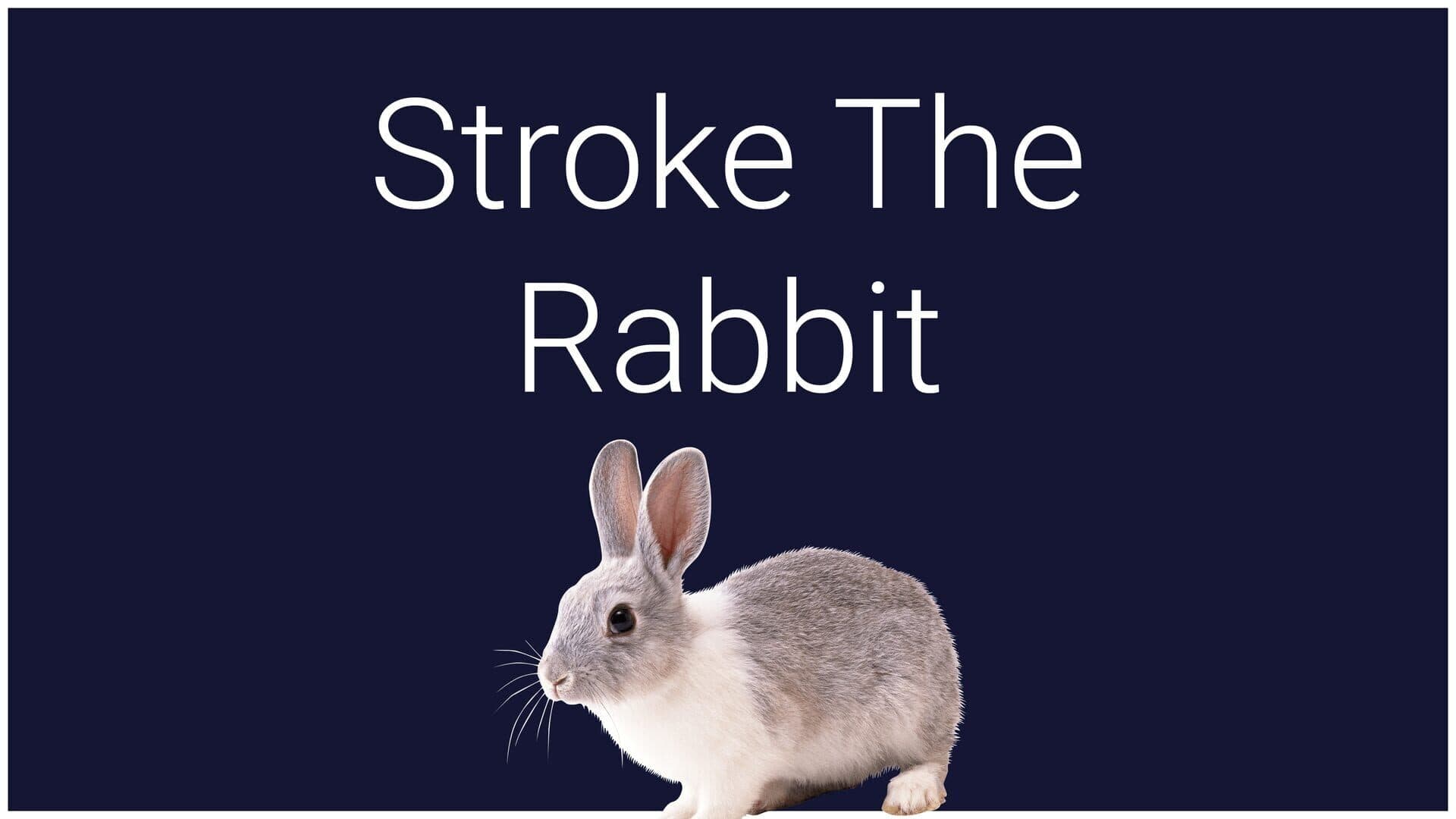 اسکرین‌شات Stroke the Rabbit - 1