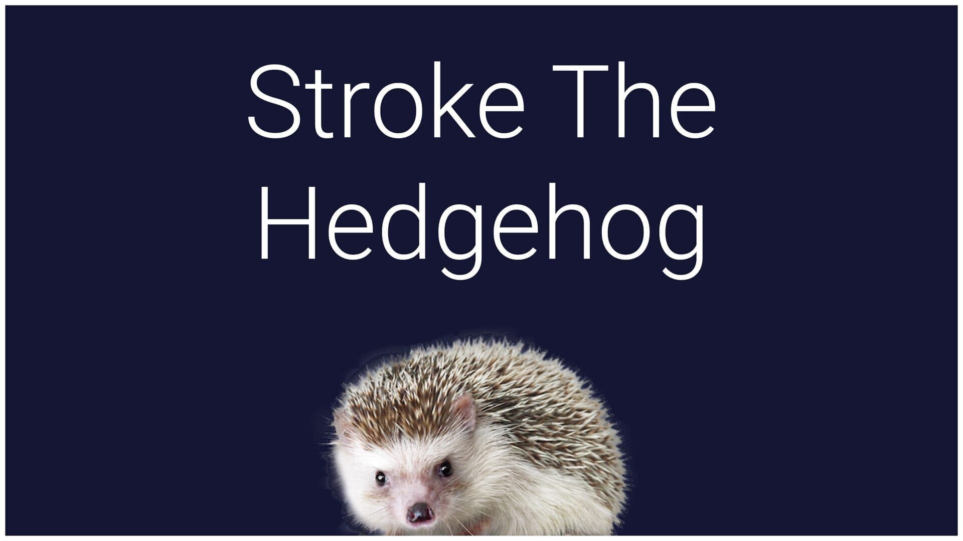 Stroke the Hedgehog