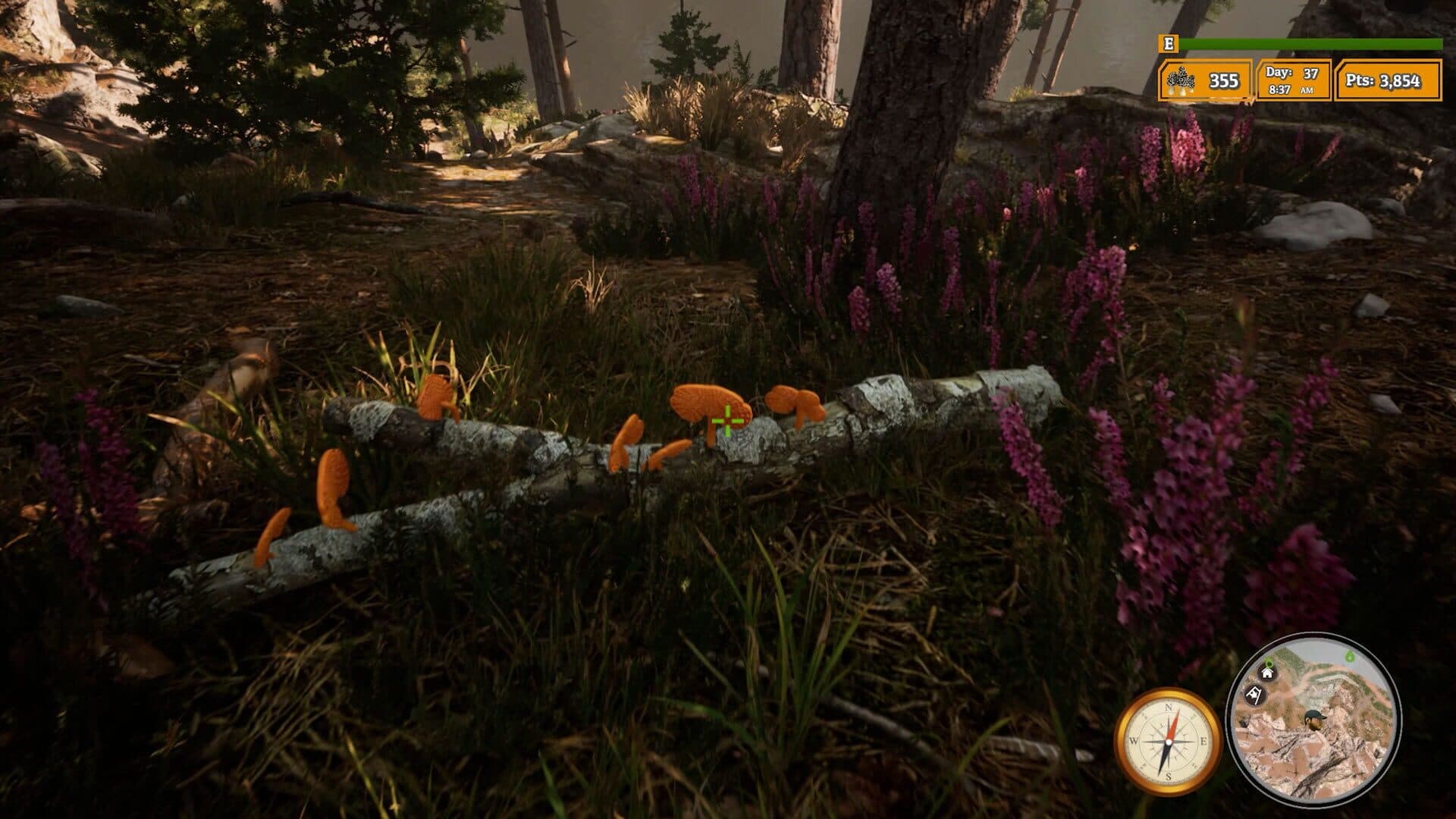 اسکرین‌شات Morels: The Hunt 2 - 4