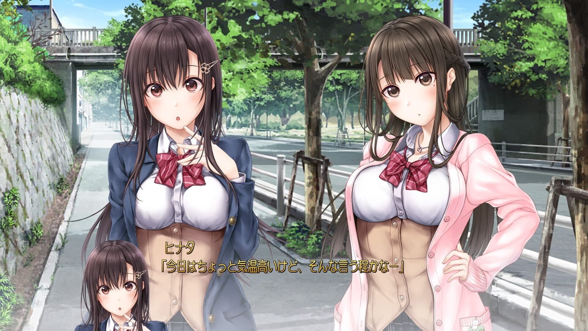 Aikiss 2 screenshot 1