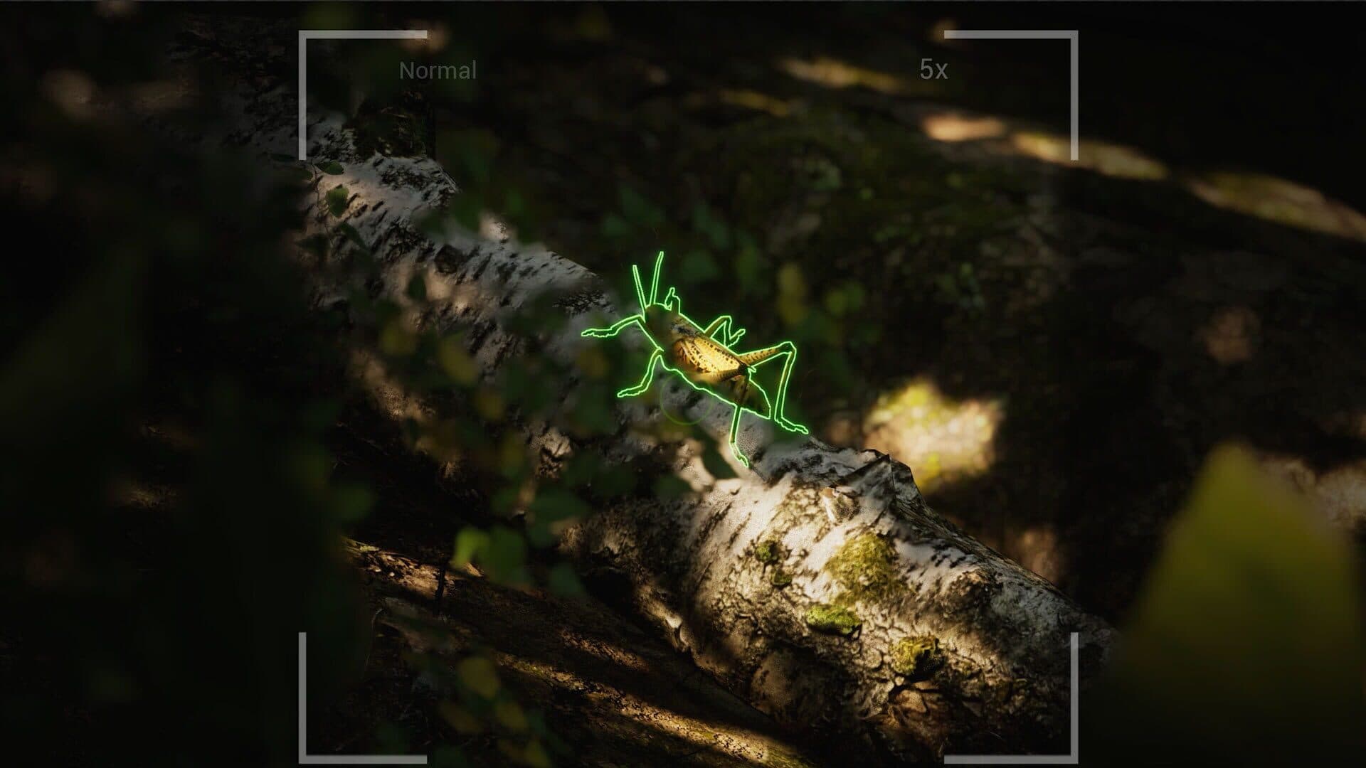 اسکرین‌شات Morels: The Hunt 2 - 3
