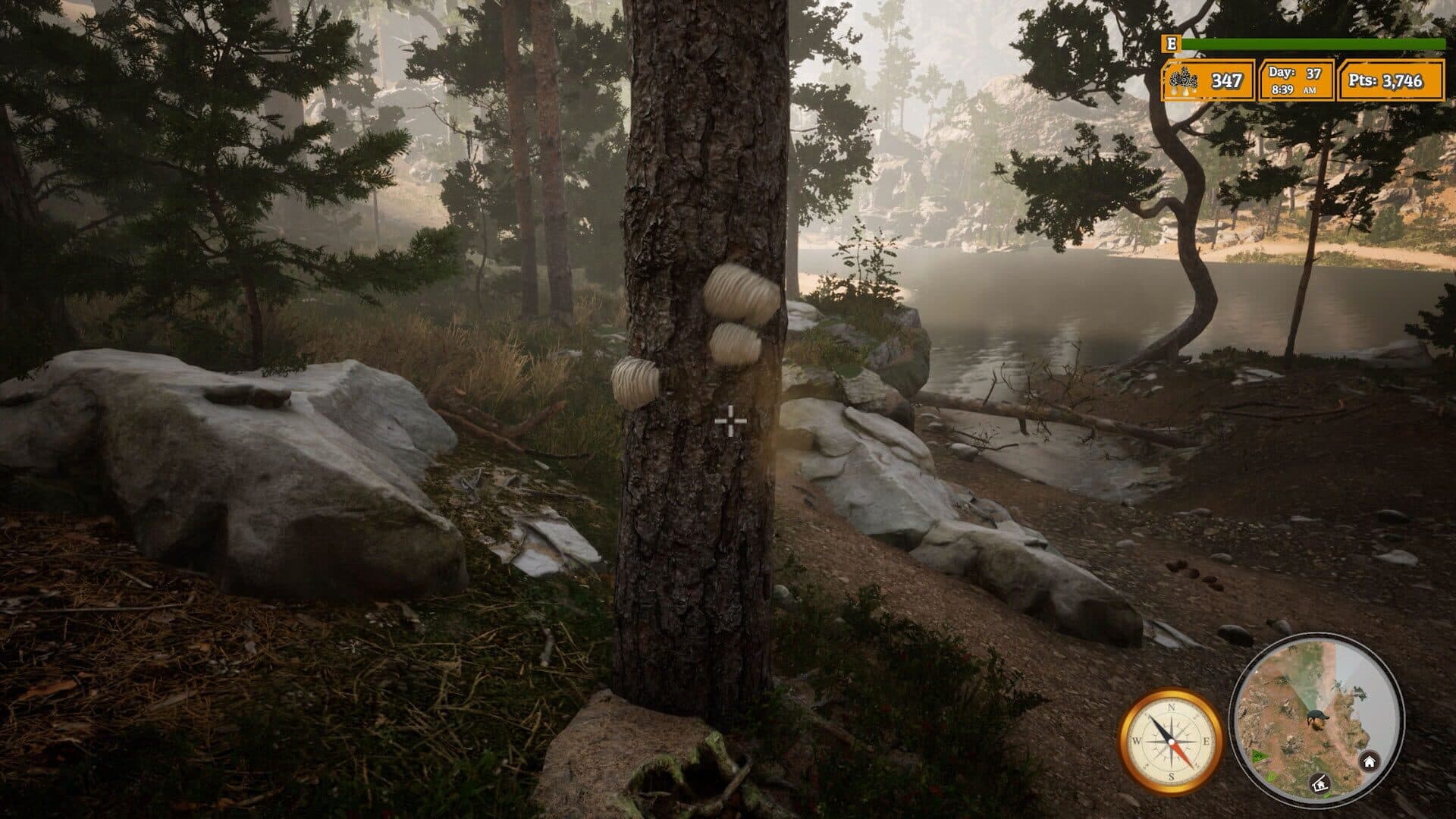 اسکرین‌شات Morels: The Hunt 2 - 13
