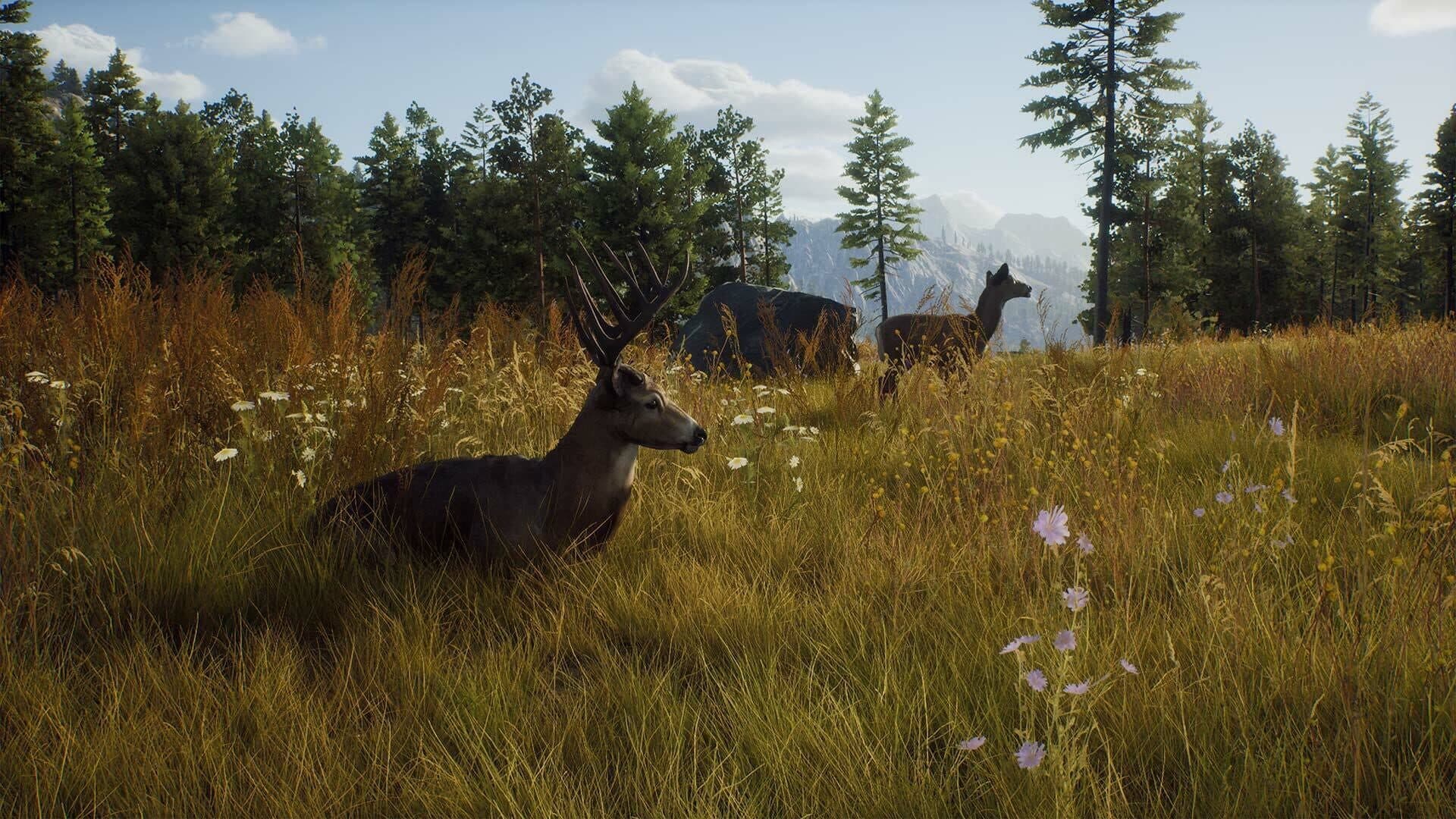 Way of the Hunter screenshot 6