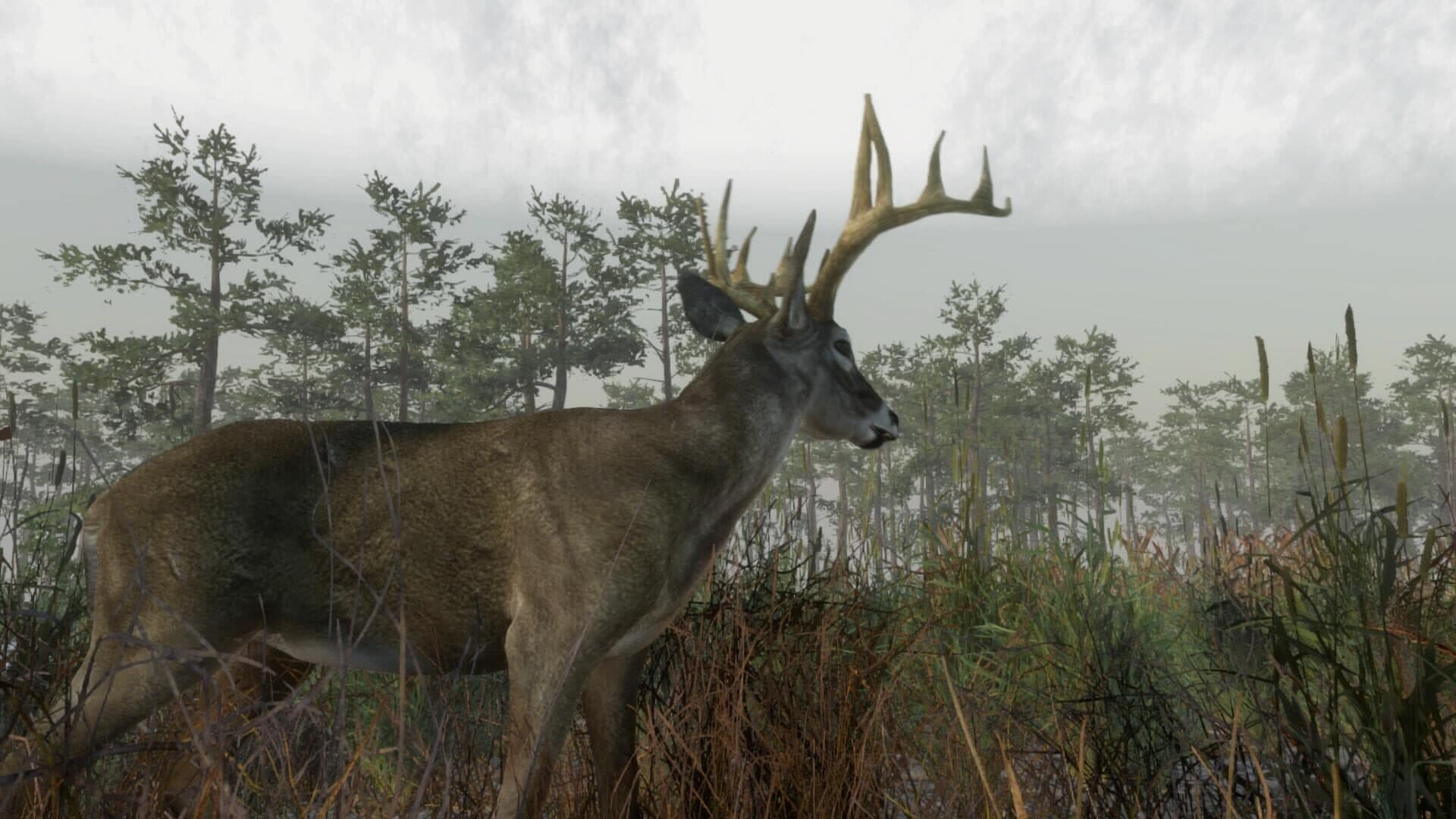 اسکرین‌شات Deer Hunting Camp - 9