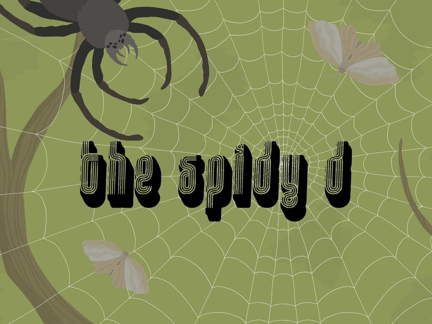 The Spidy D