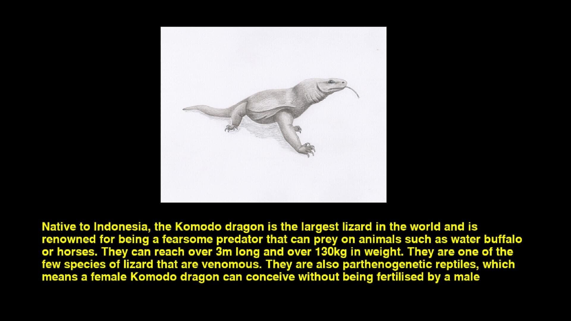 Quiz & Learn: Animals screenshot 1