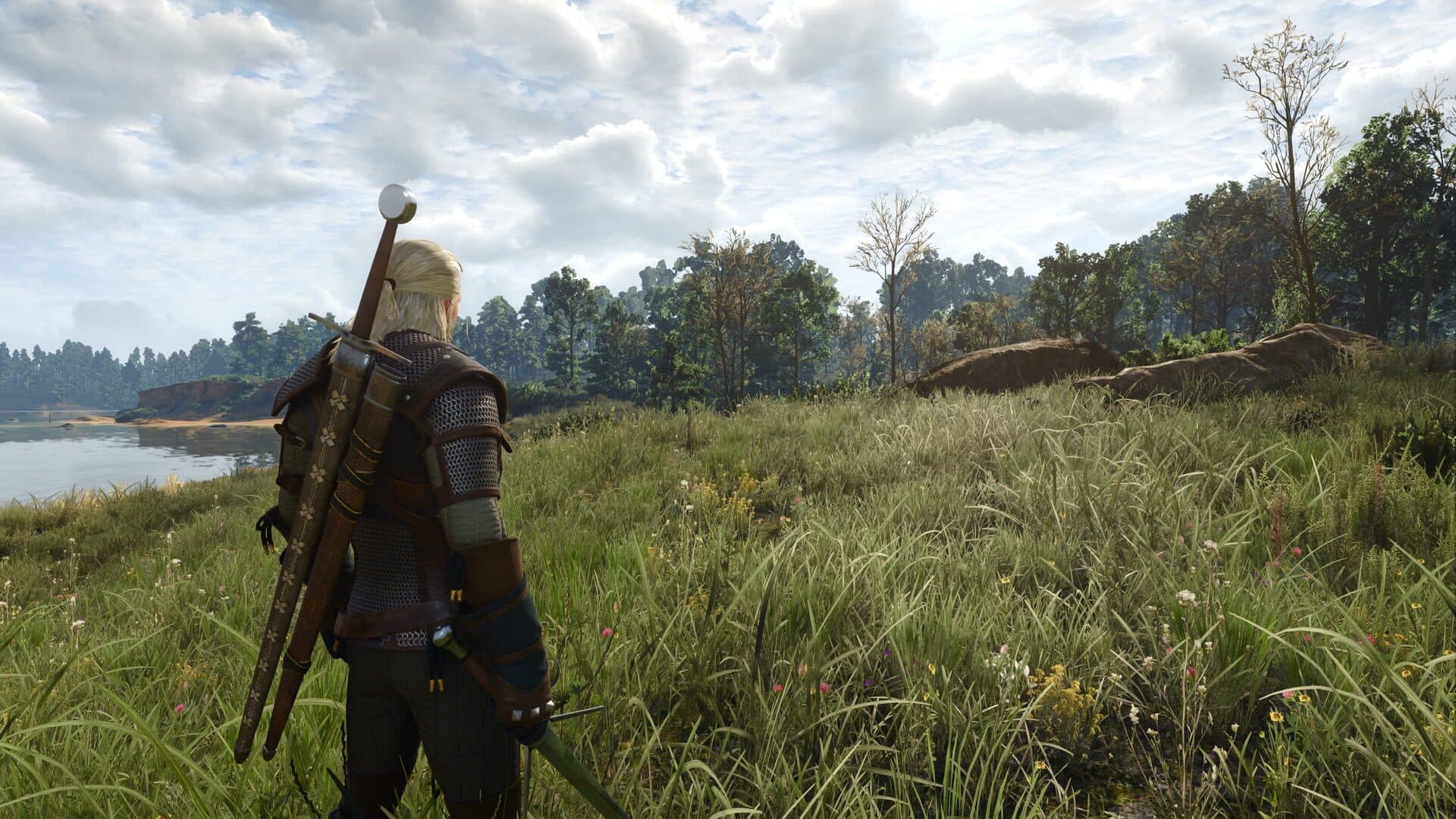 The Witcher 3: Wild Hunt screenshot 10