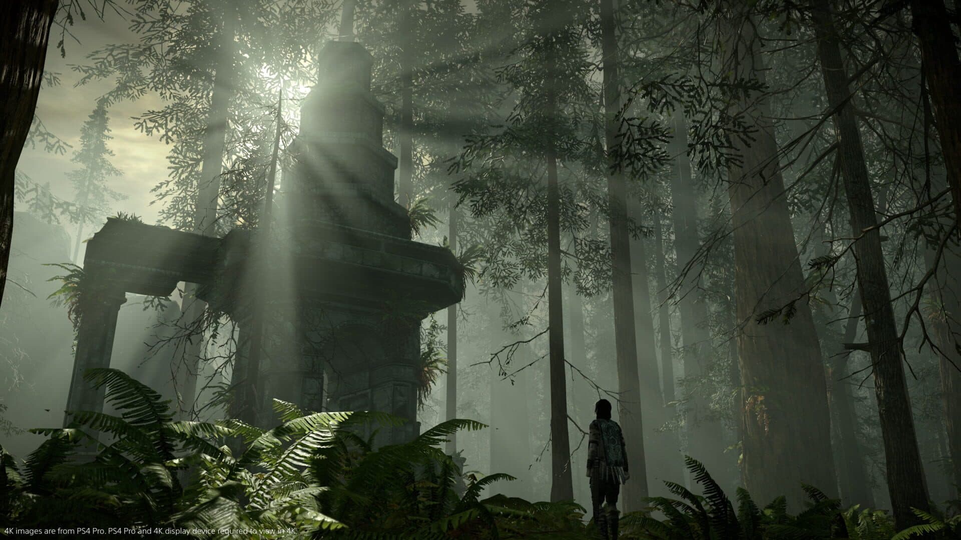 Shadow of the Colossus screenshot 2