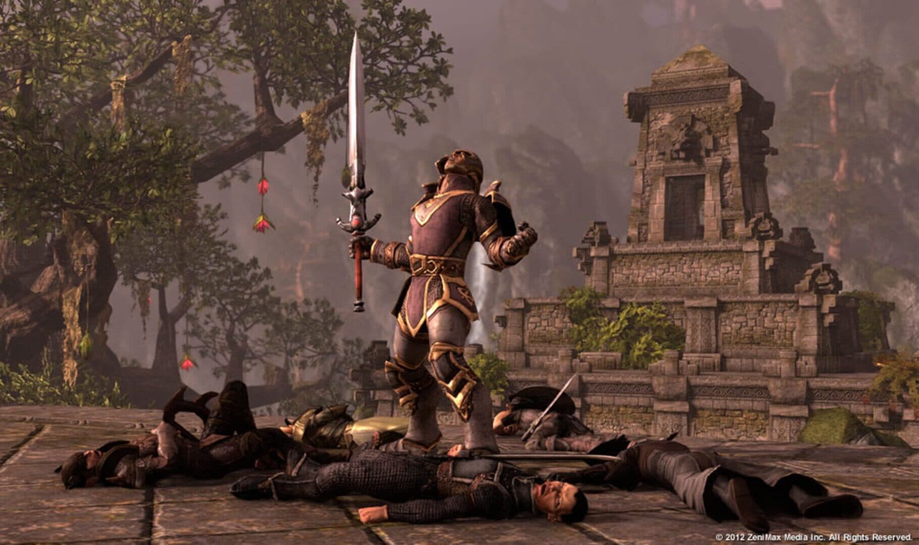 اسکرین‌شات The Elder Scrolls Online - 2