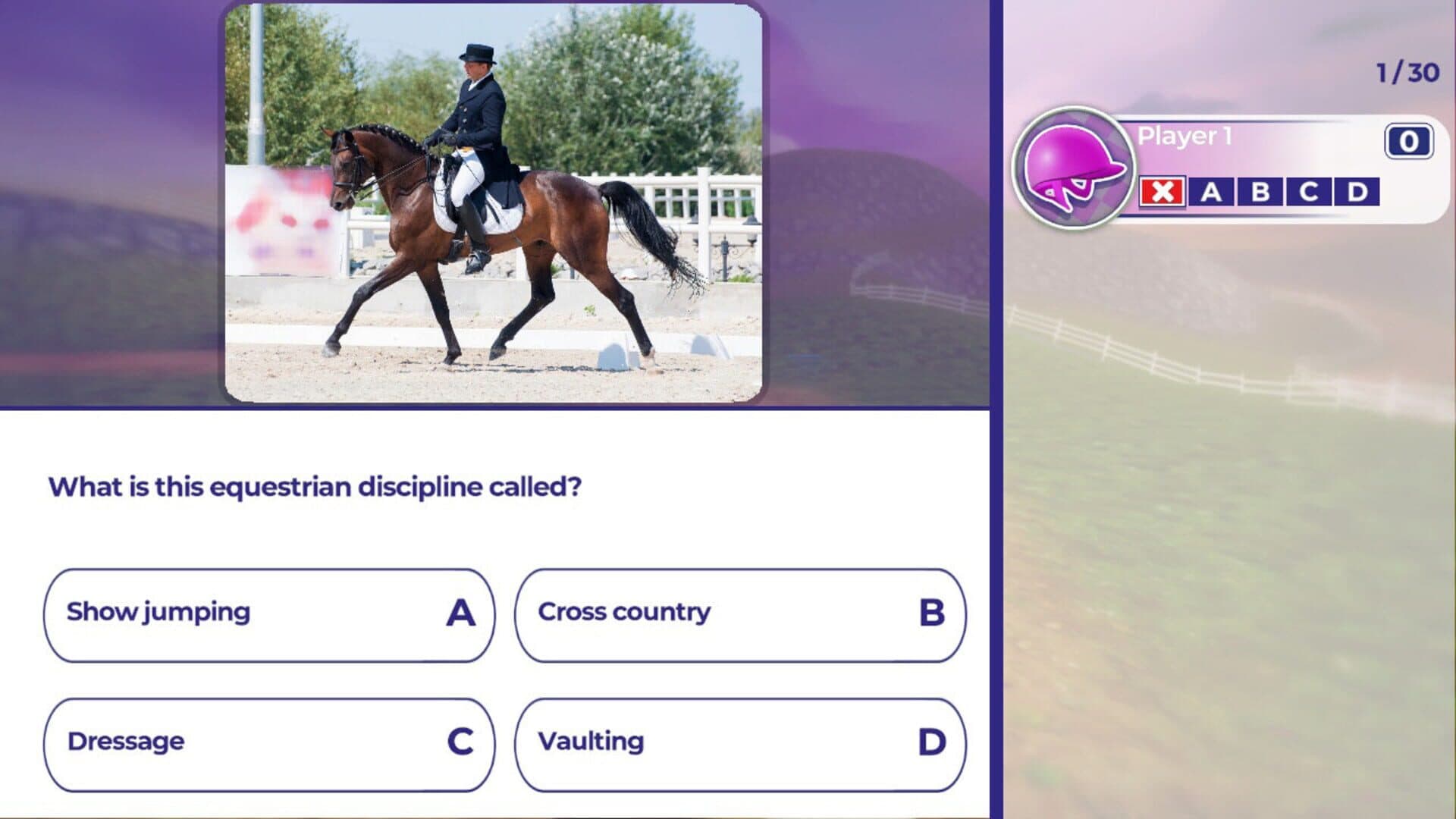 اسکرین‌شات Equestrian Training - 5