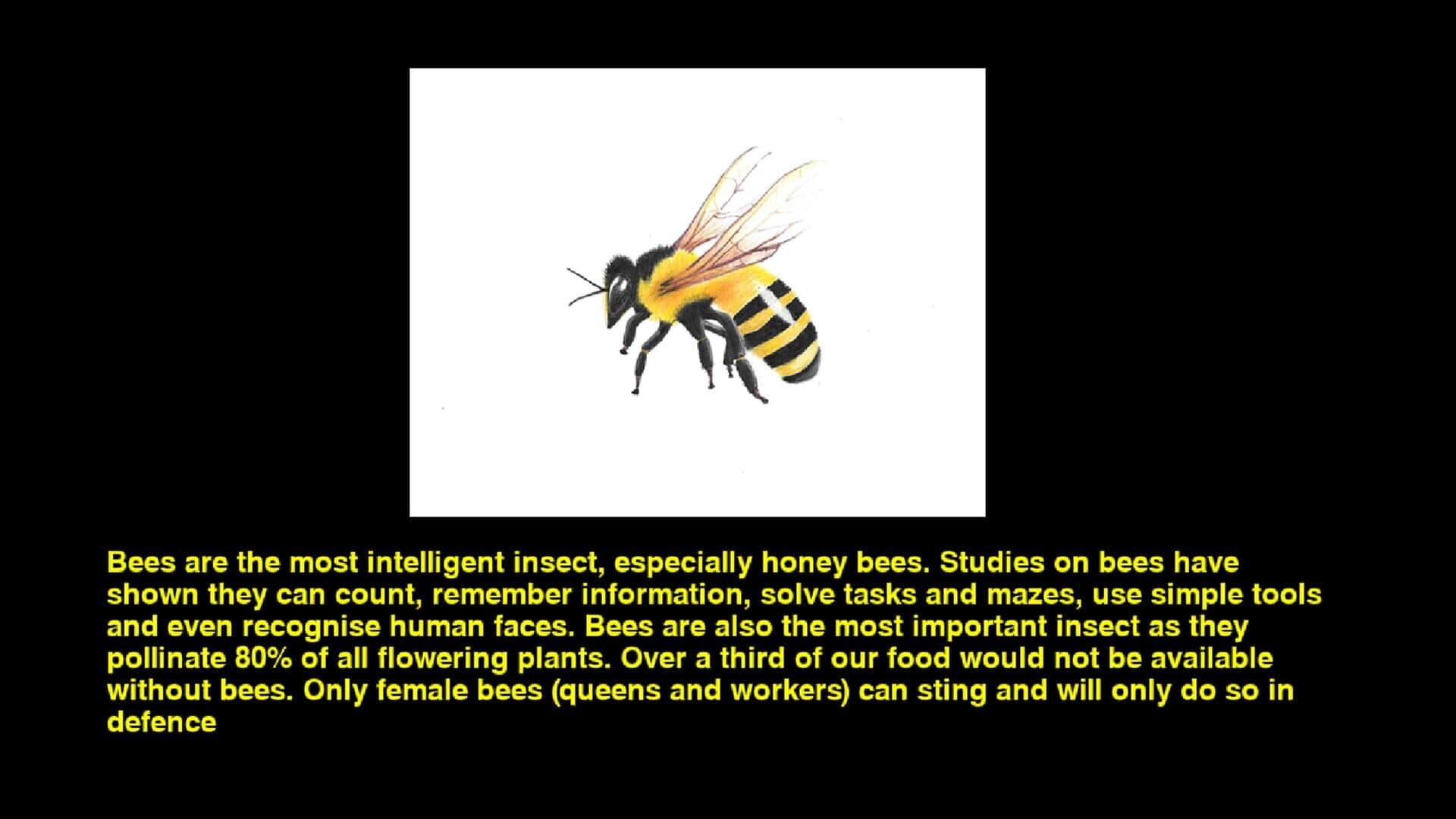 Quiz & Learn: Animals screenshot 2