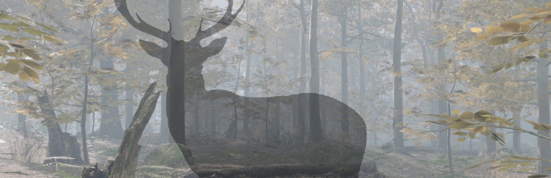 Pro Deer Hunting 2