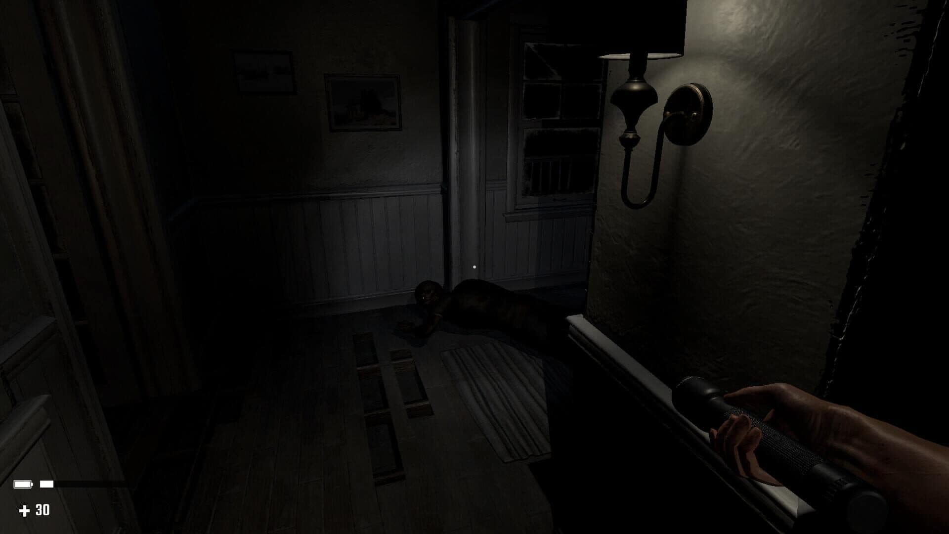 اسکرین‌شات Panic House - 5