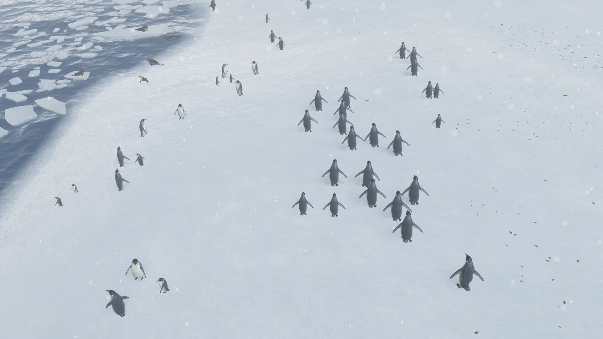 Natural Instincts screenshot 0