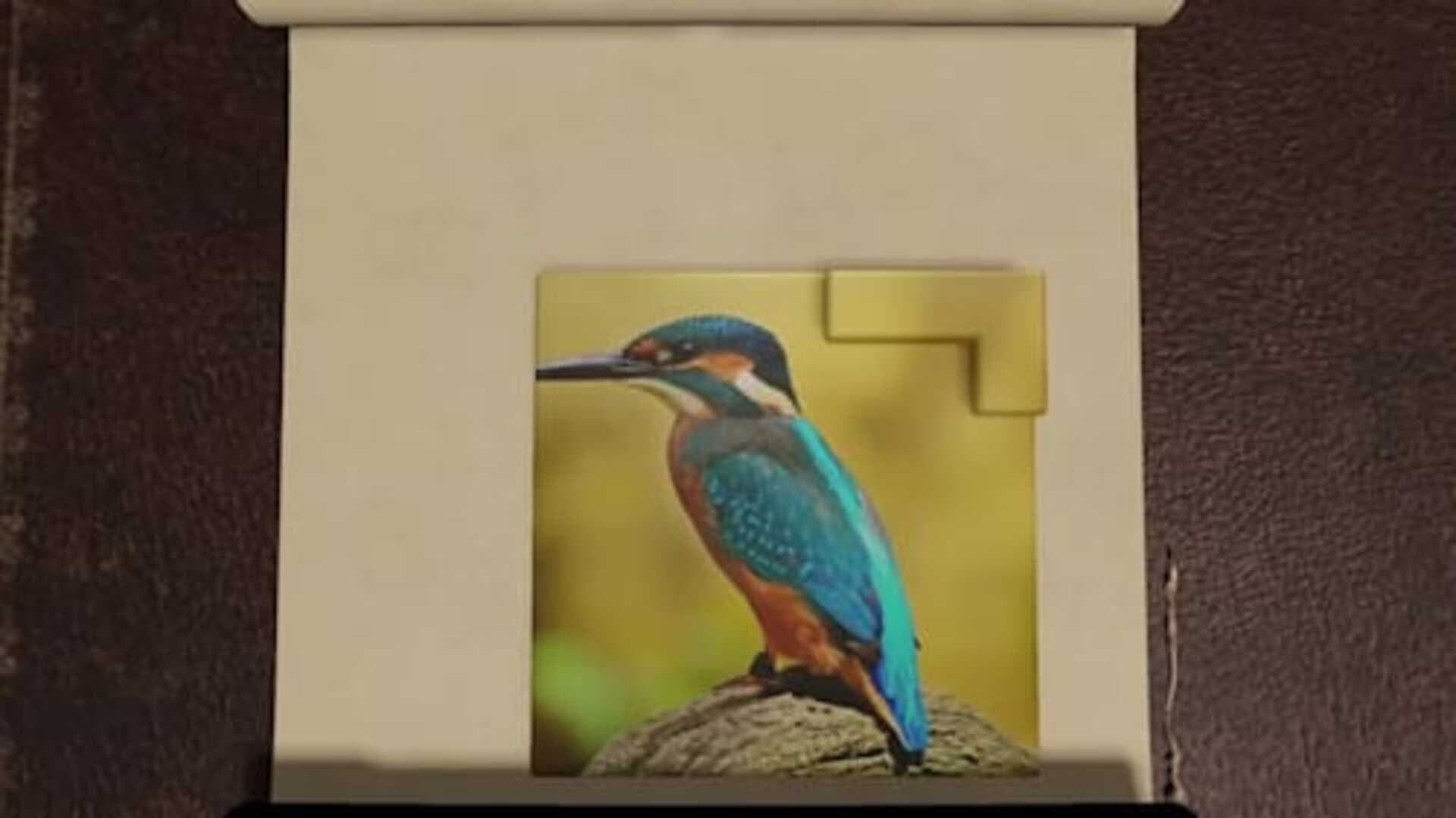 اسکرین‌شات Solid Void: Nature Puzzles - 4