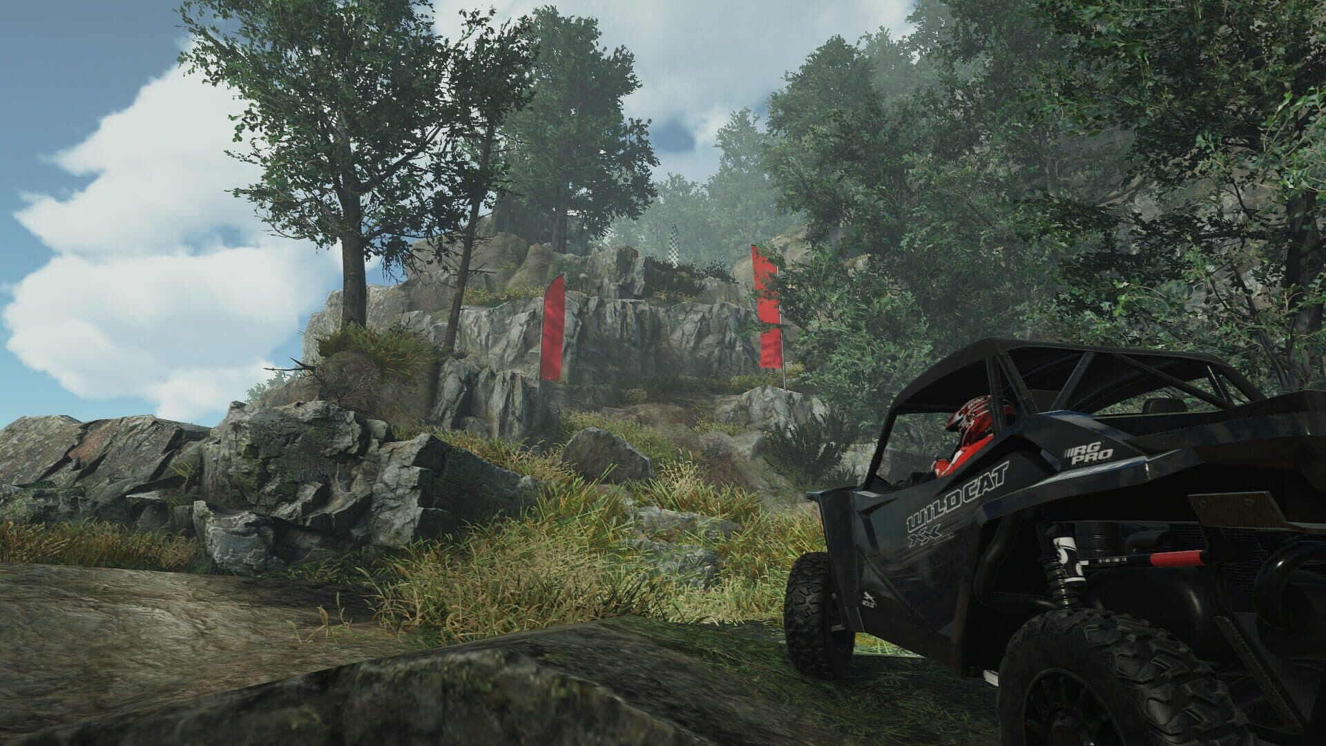 Overpass screenshot 3