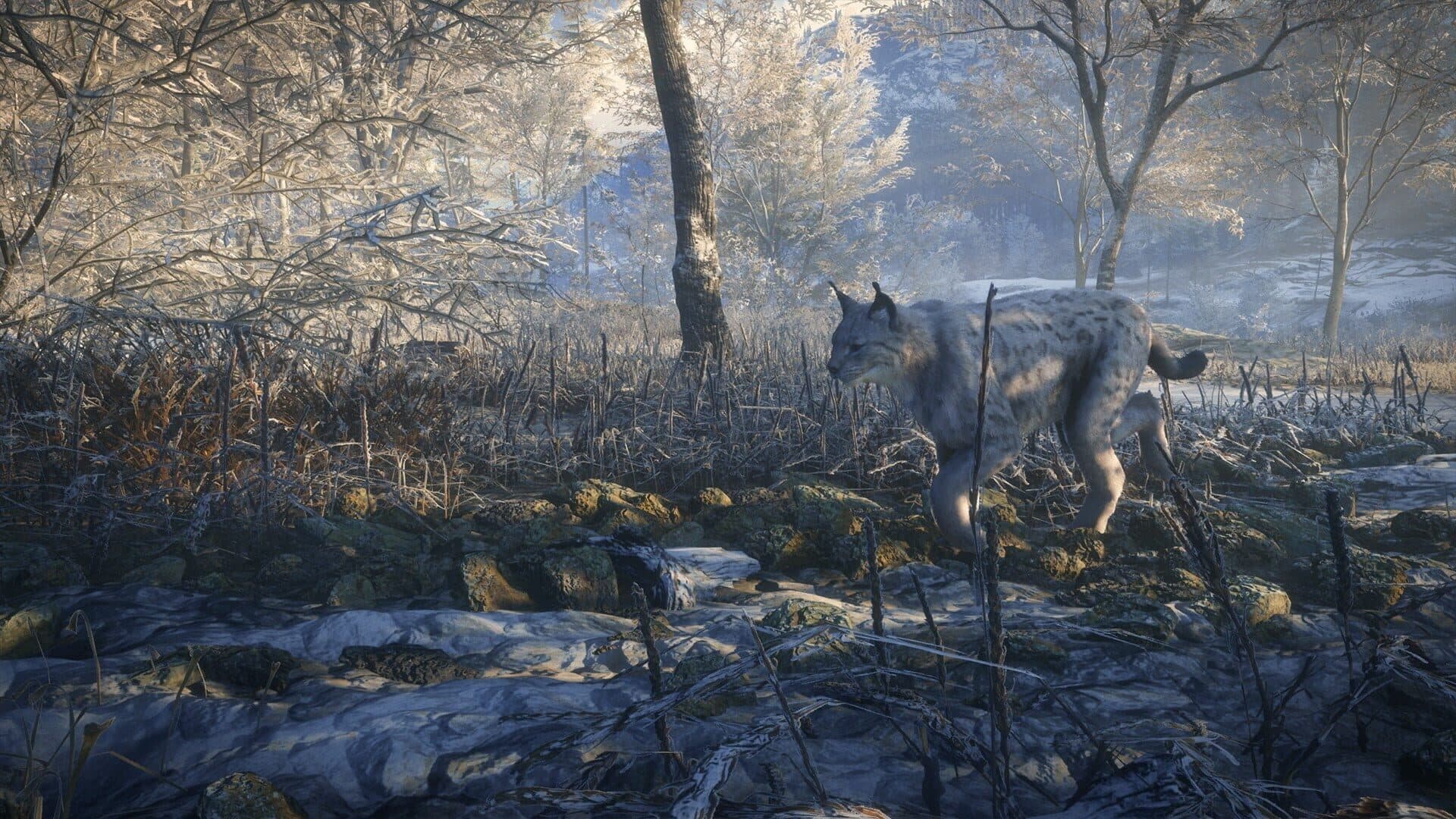 اسکرین‌شات TheHunter: Call of the Wild - 2019 Edition - 12