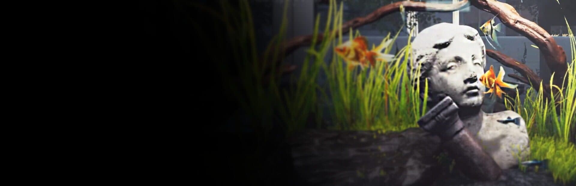 Aquarist