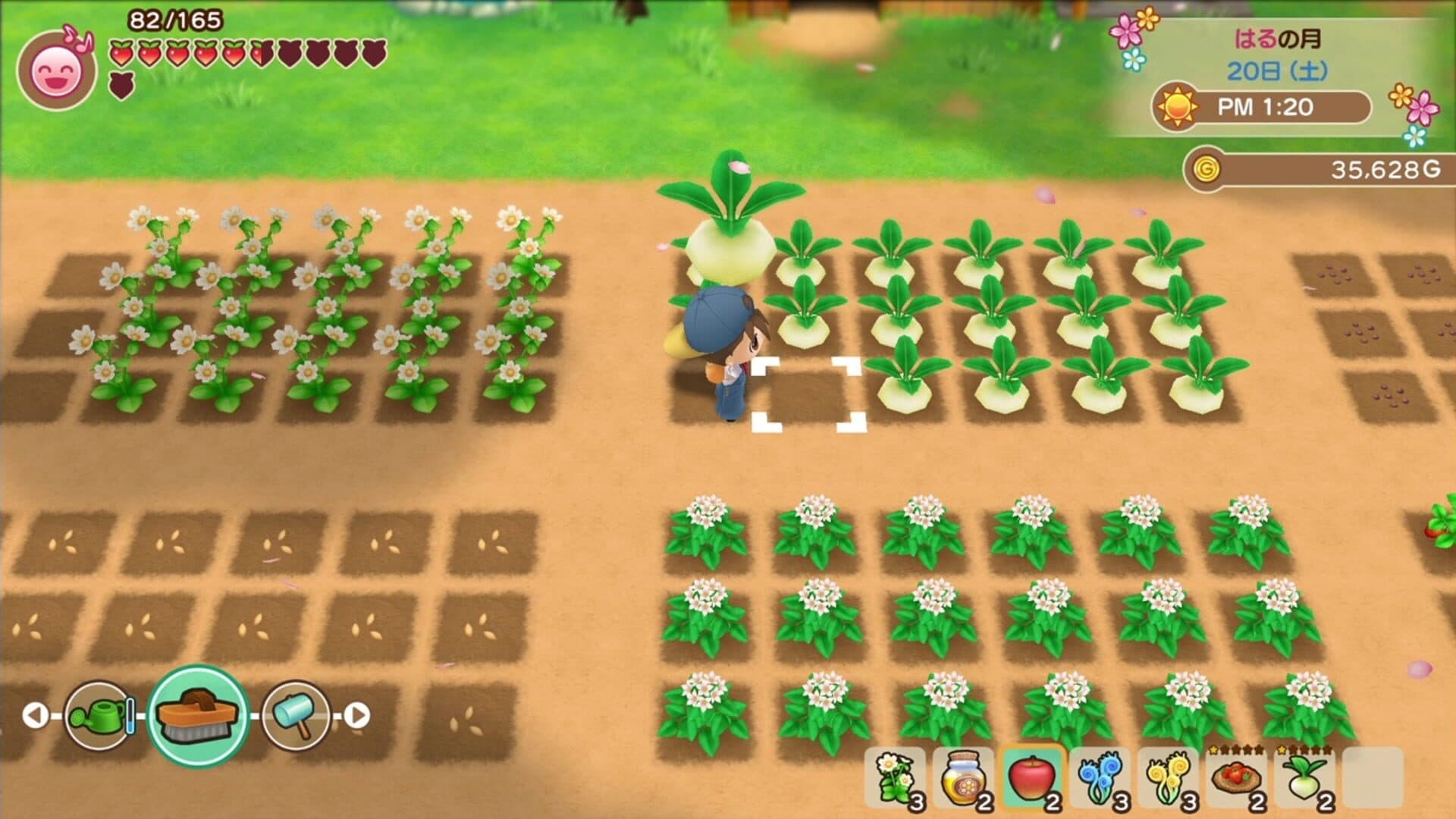 Story of Seasons: Friends of Mineral Town screenshot 10