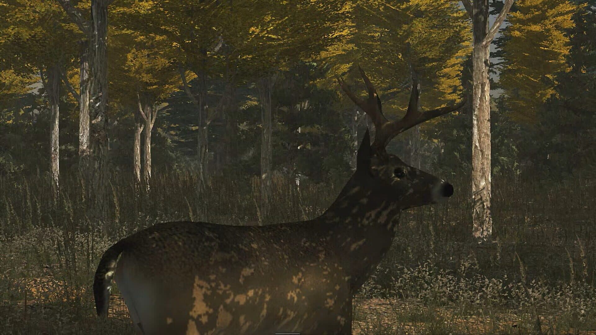 اسکرین‌شات Deer Simulator - 3