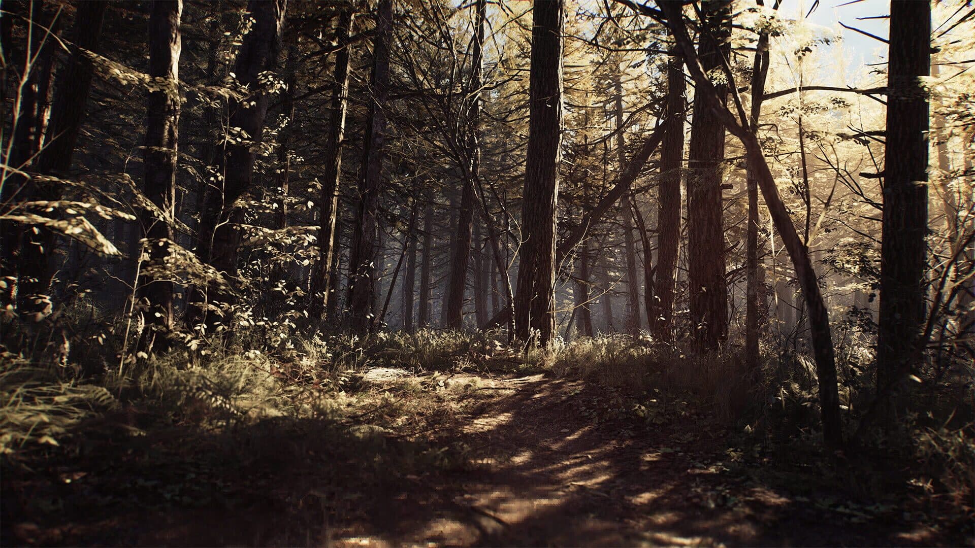 اسکرین‌شات Blair Witch - 3