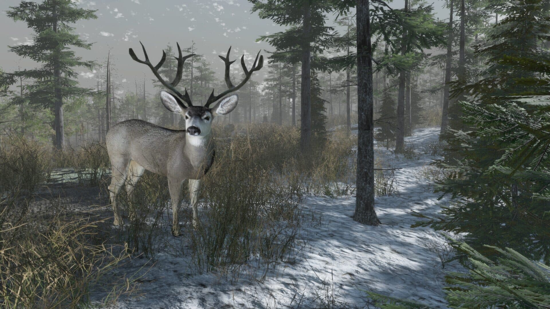 اسکرین‌شات Pro Deer Hunting: Out West - 5