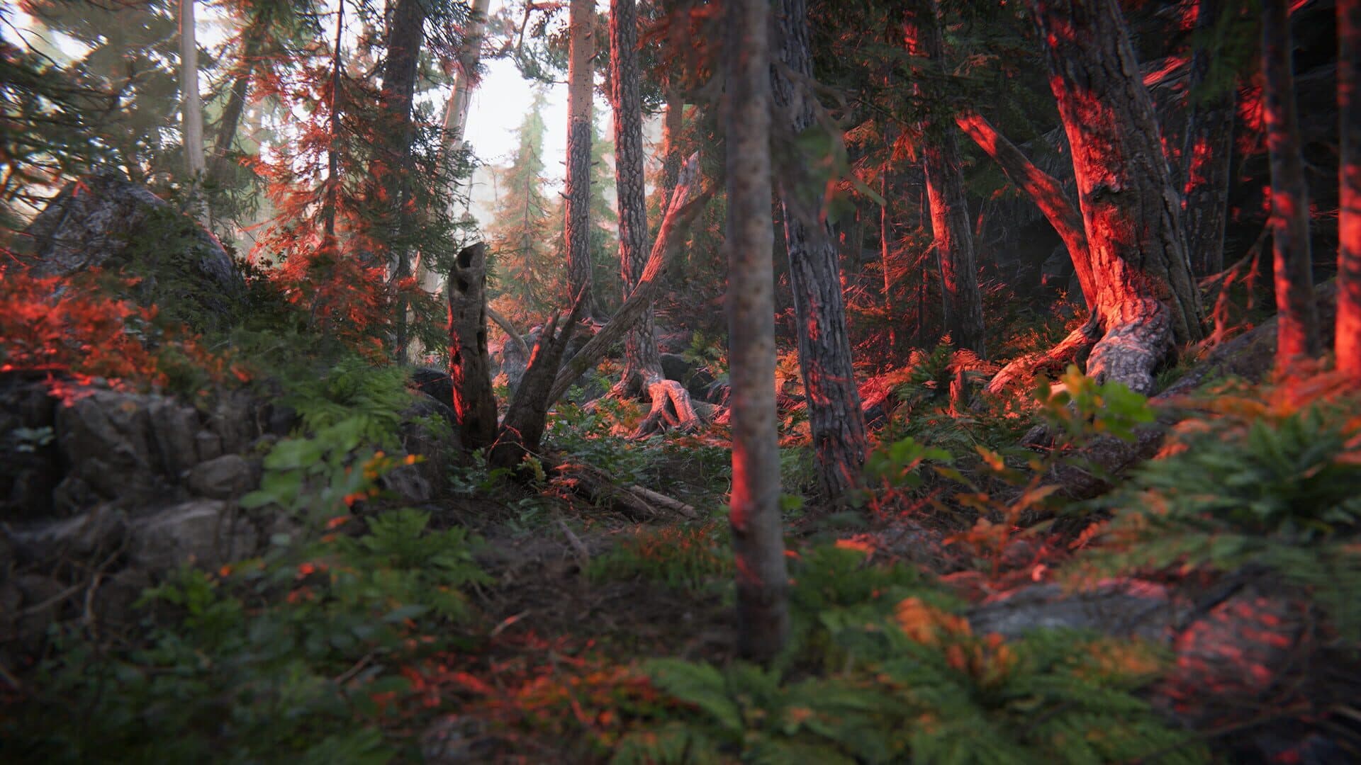 The Forest Cathedral screenshot 6