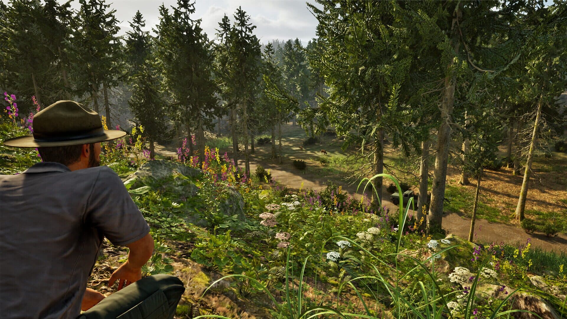 اسکرین‌شات Park Ranger Simulator - 10