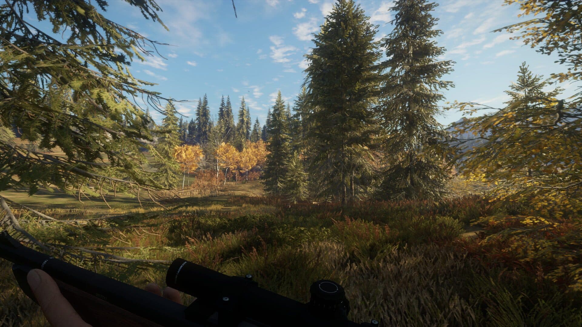 اسکرین‌شات TheHunter: Call of the Wild - 12