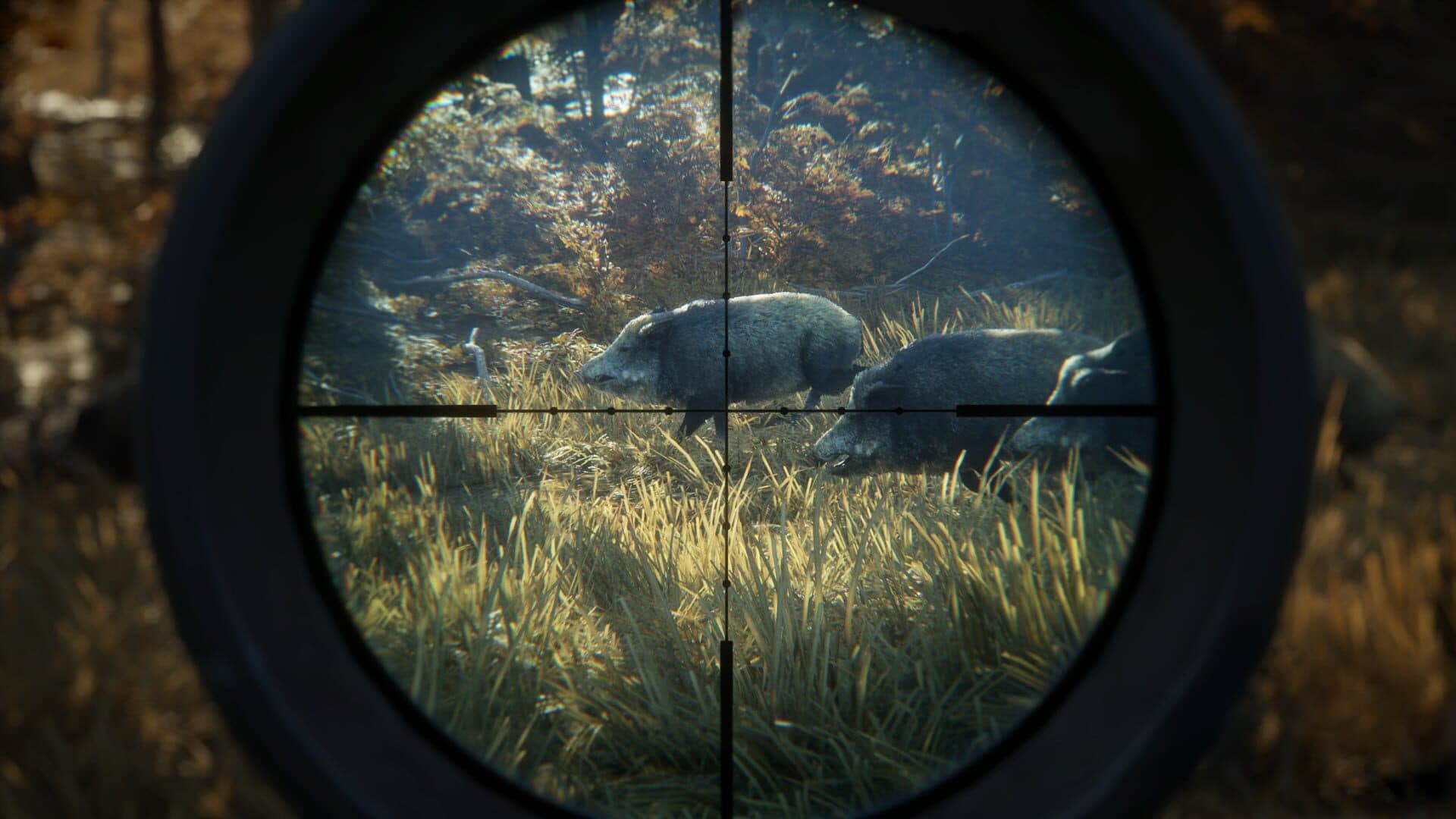 اسکرین‌شات TheHunter: Call of the Wild - 13